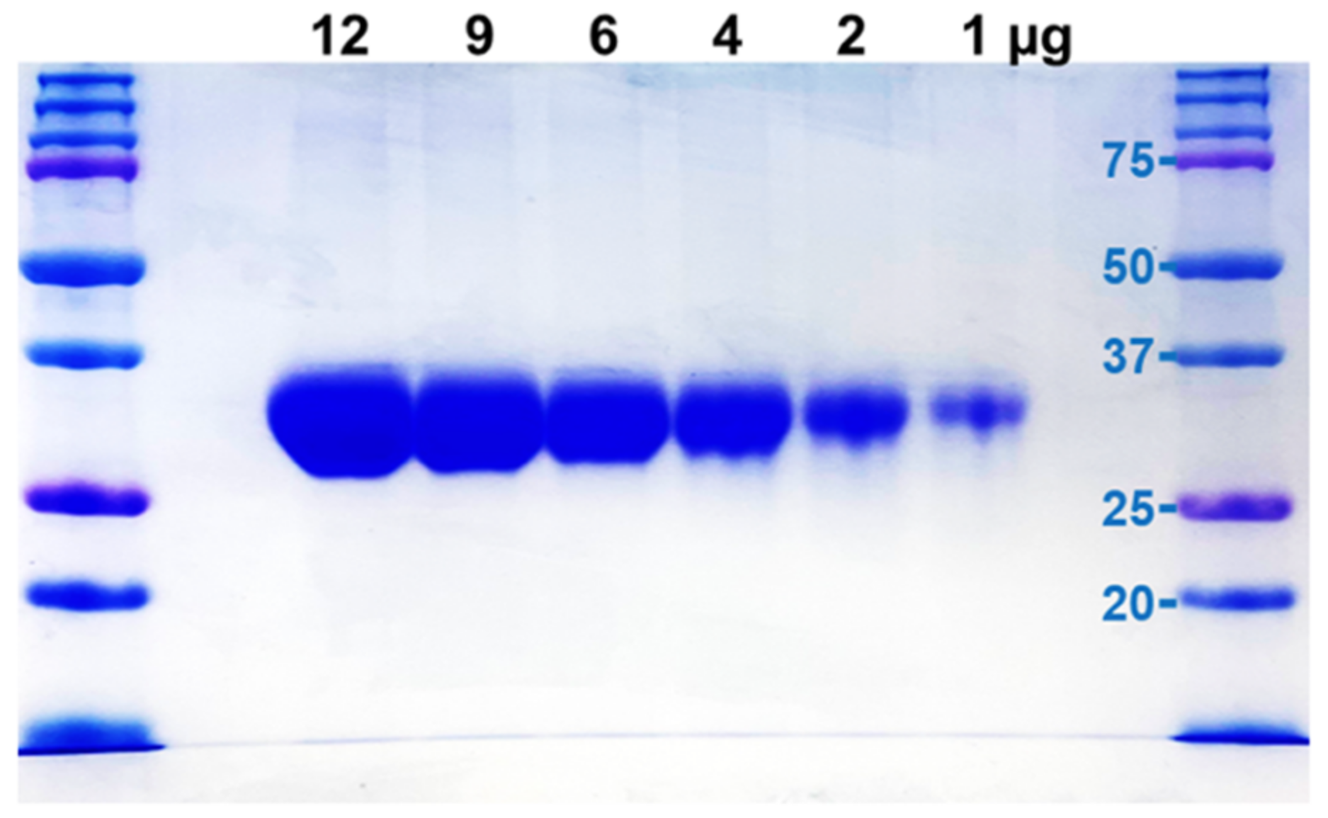 Pathogens 11 00588 g009
