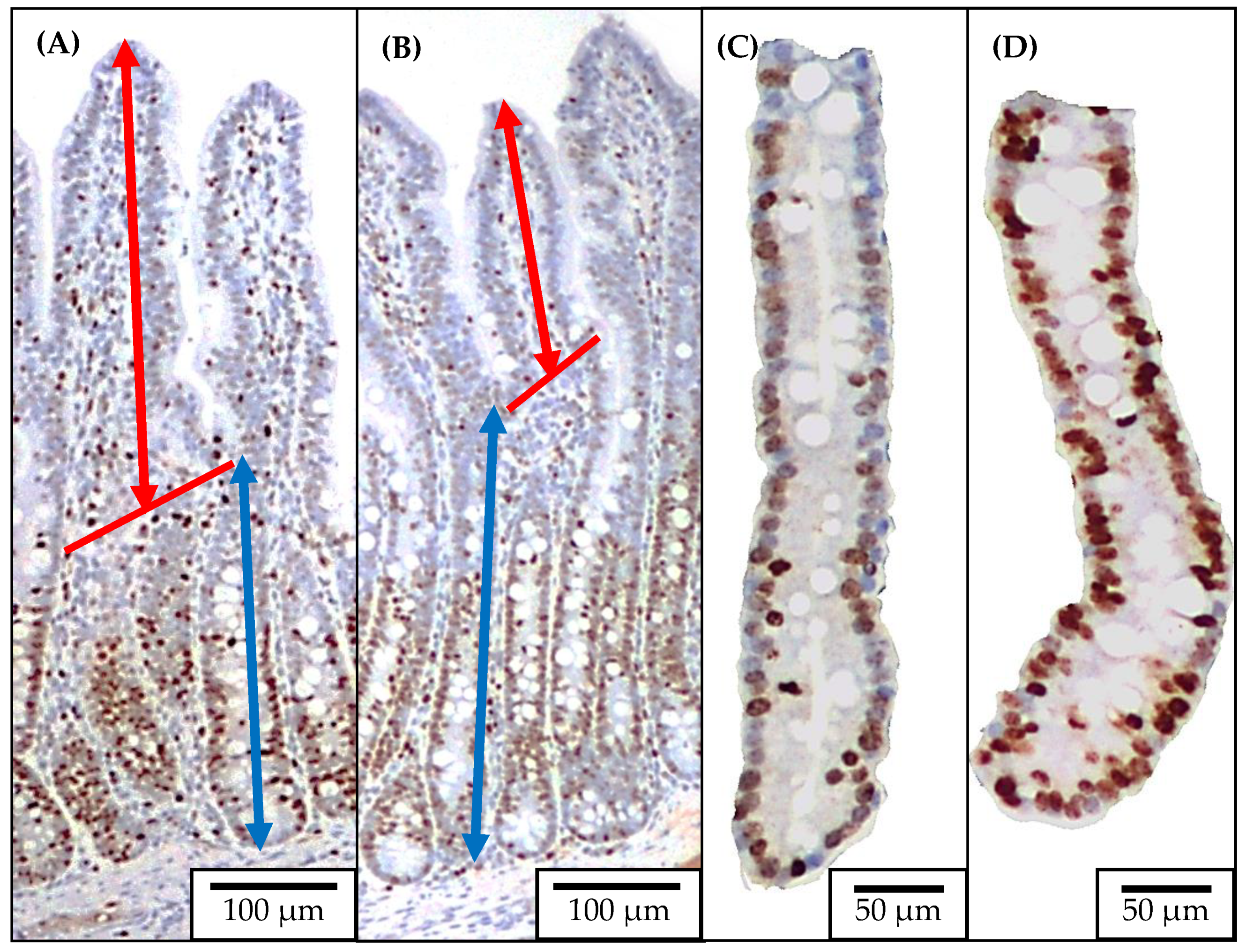 Pathogens 11 00589 g004 Pathogens 11 00589 g004
