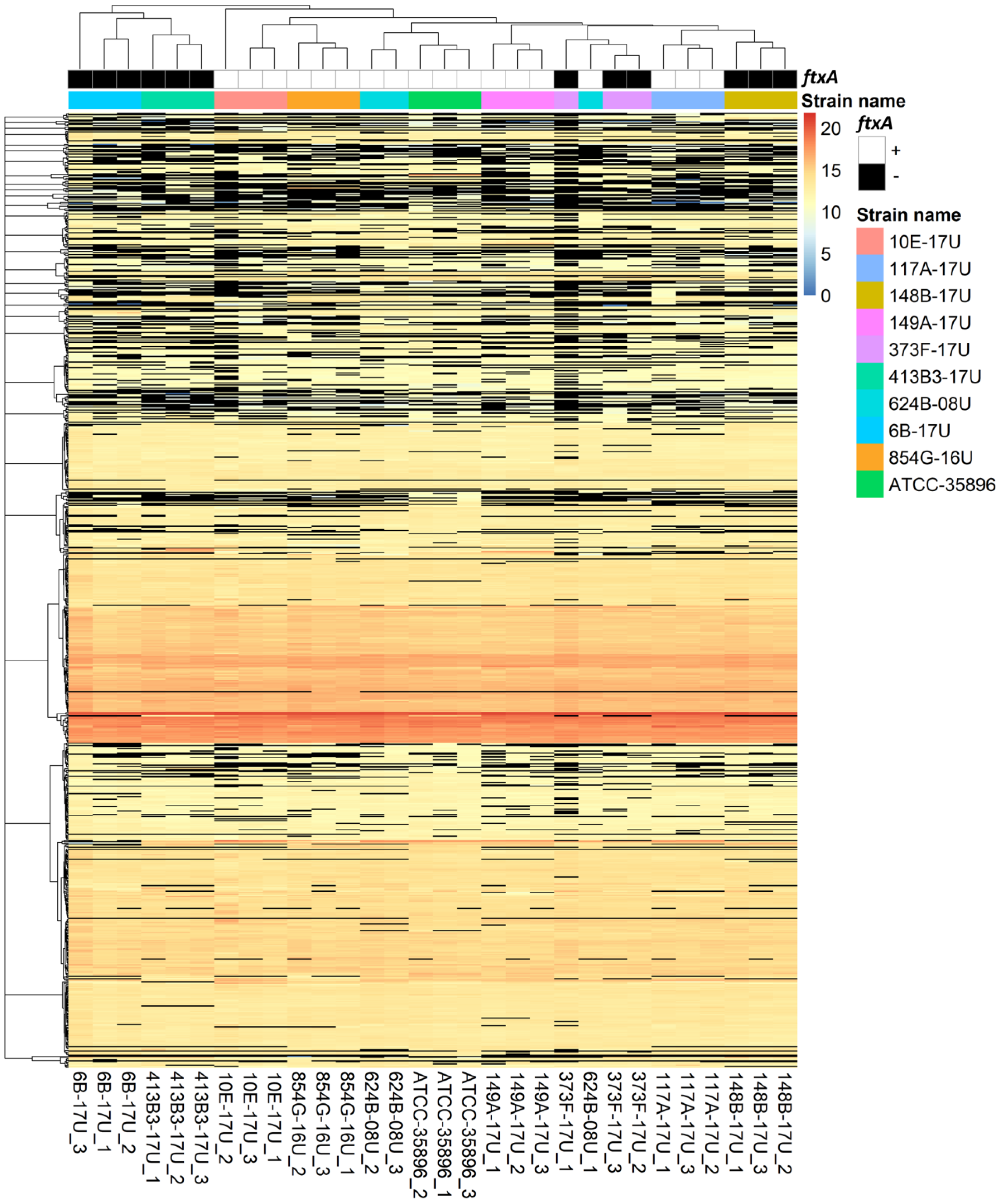 Pathogens 11 00590 g001