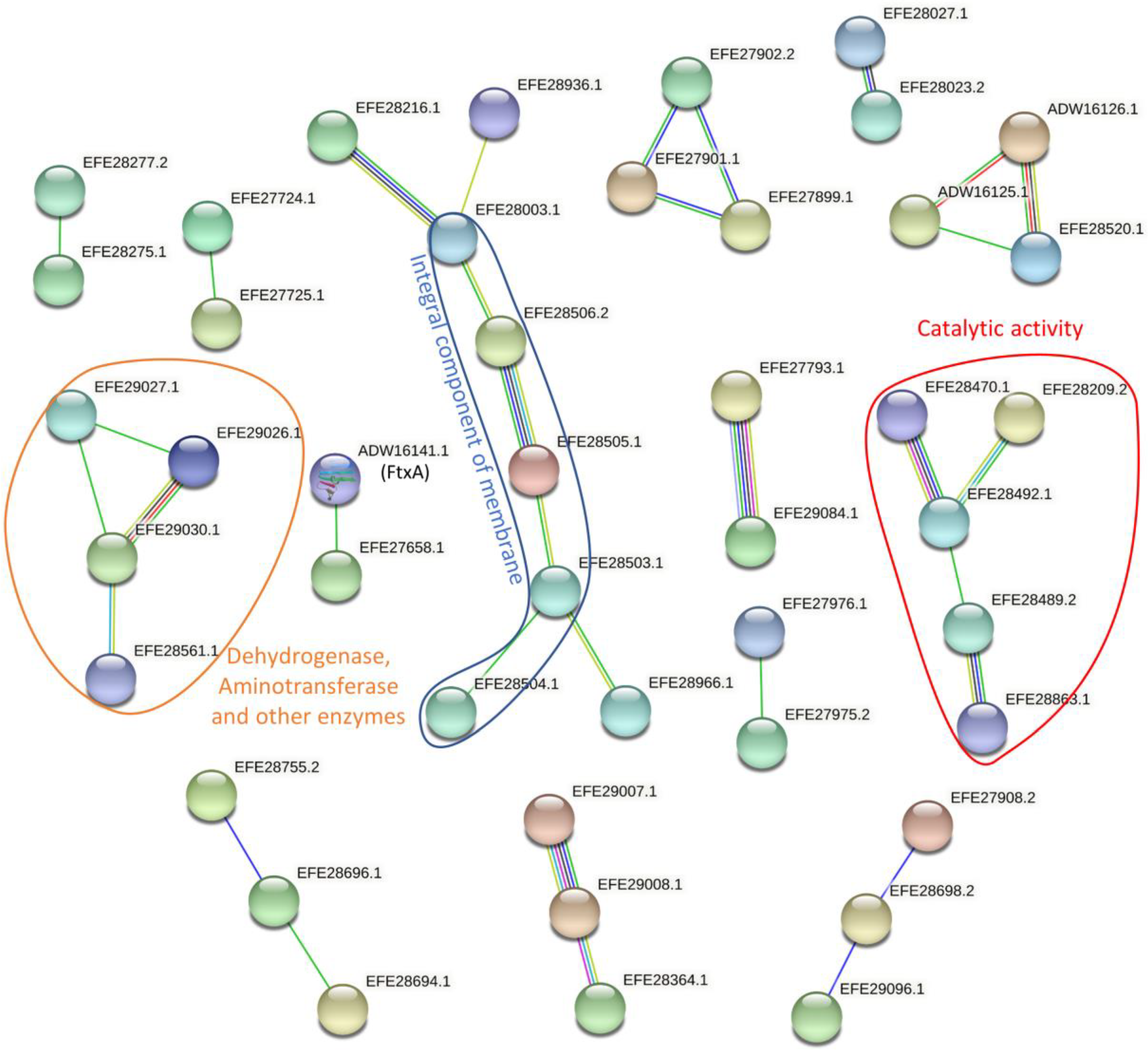 Pathogens 11 00590 g002