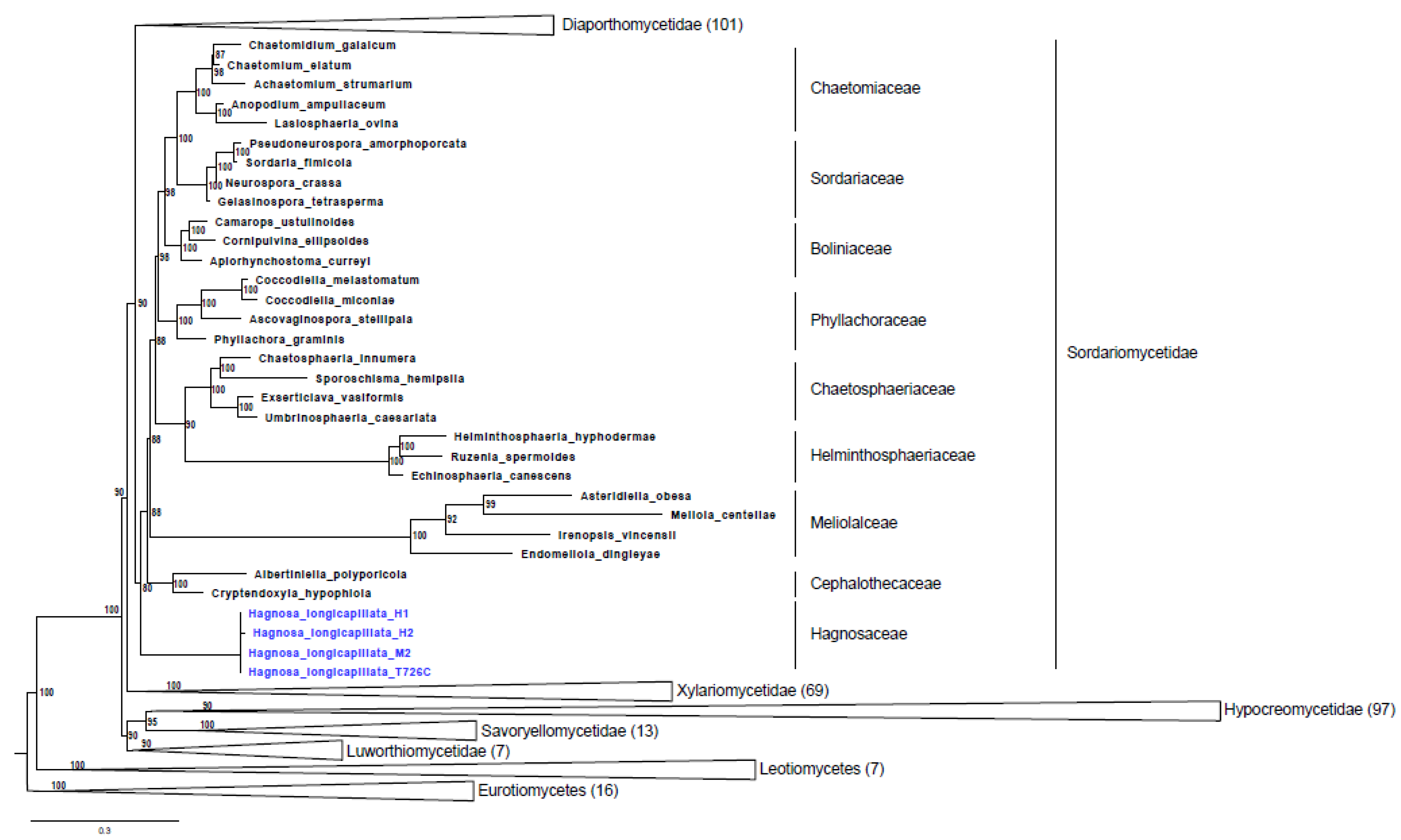 Pathogens 11 00593 g001
