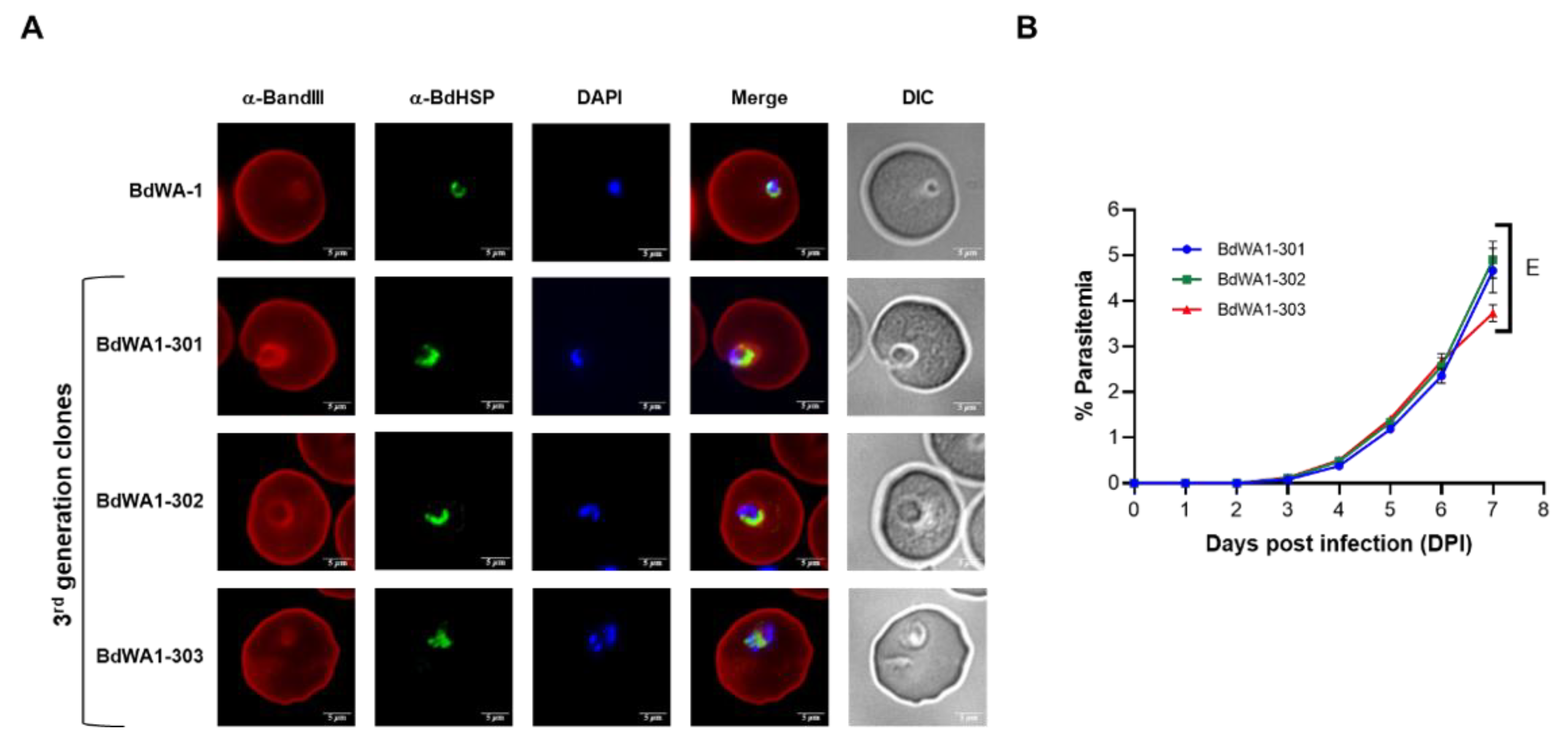 Pathogens 11 00599 g003