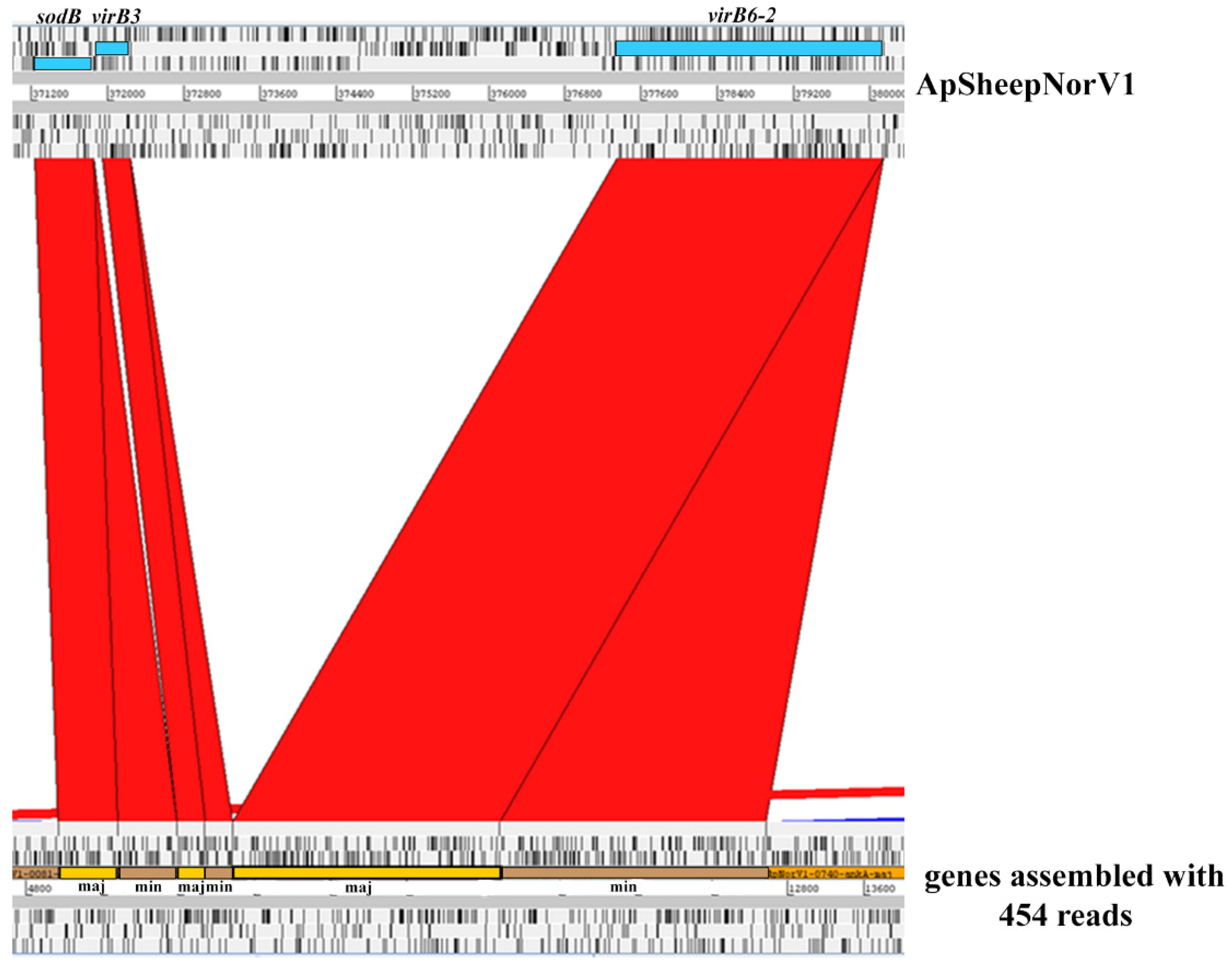 Pathogens 11 00601 g001