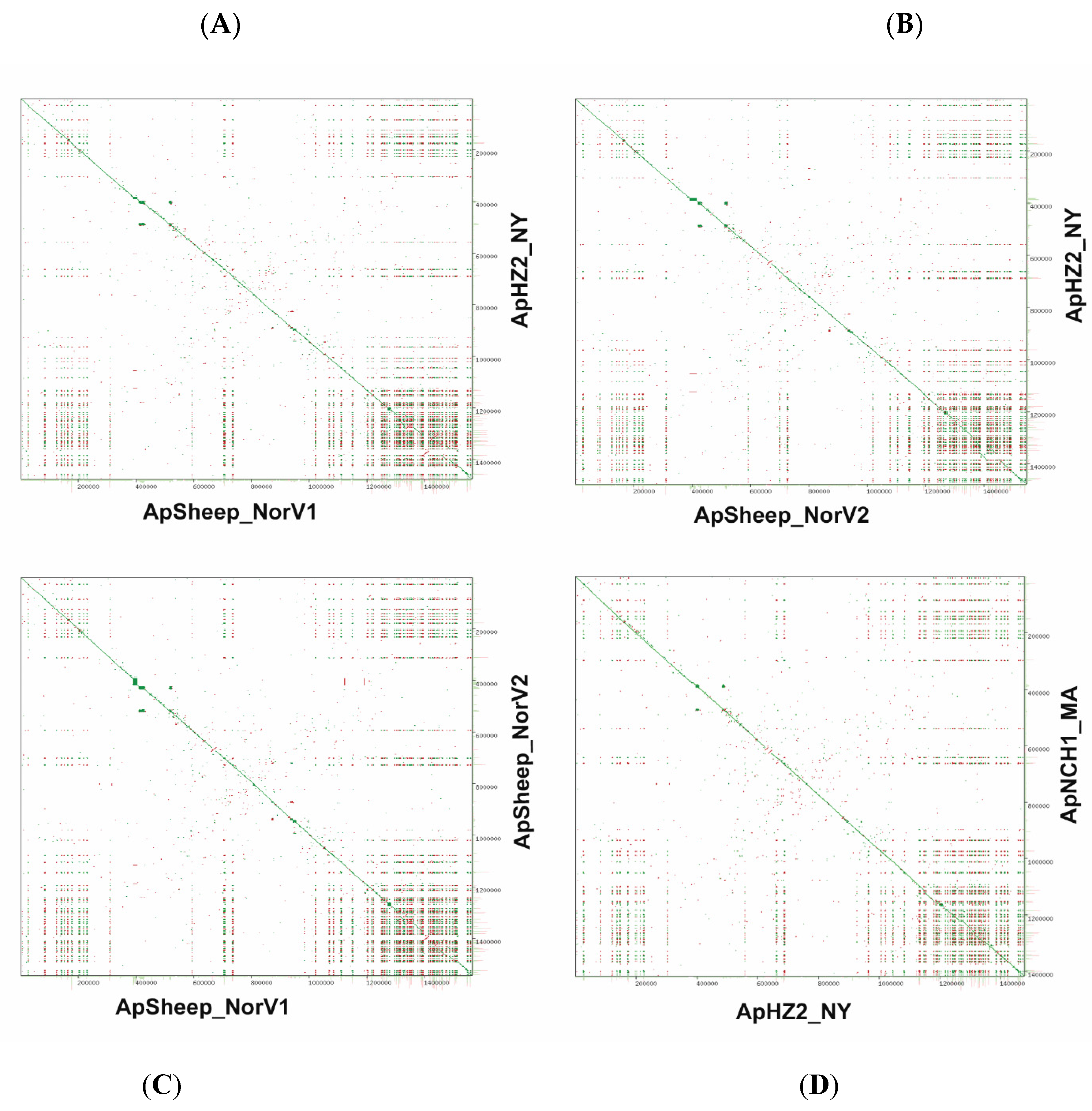 Pathogens 11 00601 g004