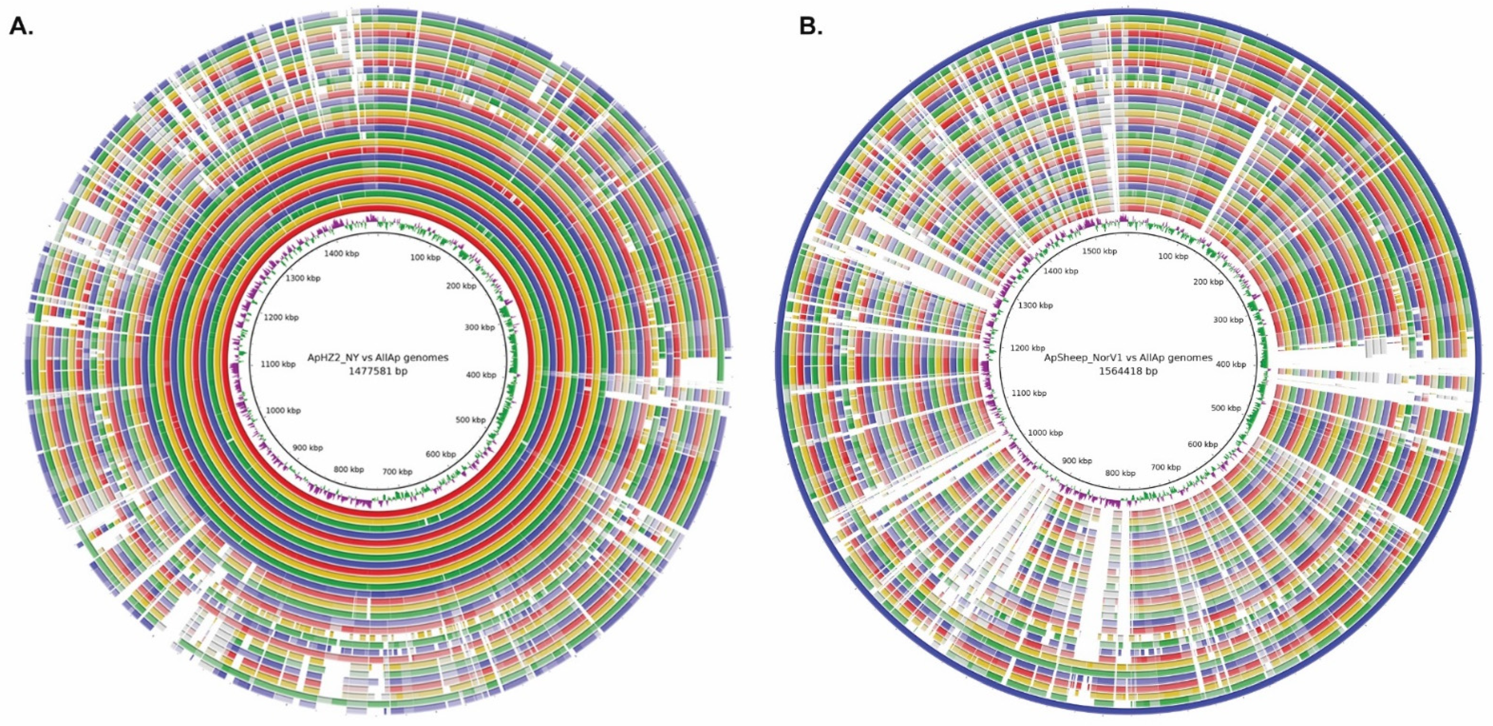 Pathogens 11 00601 g006
