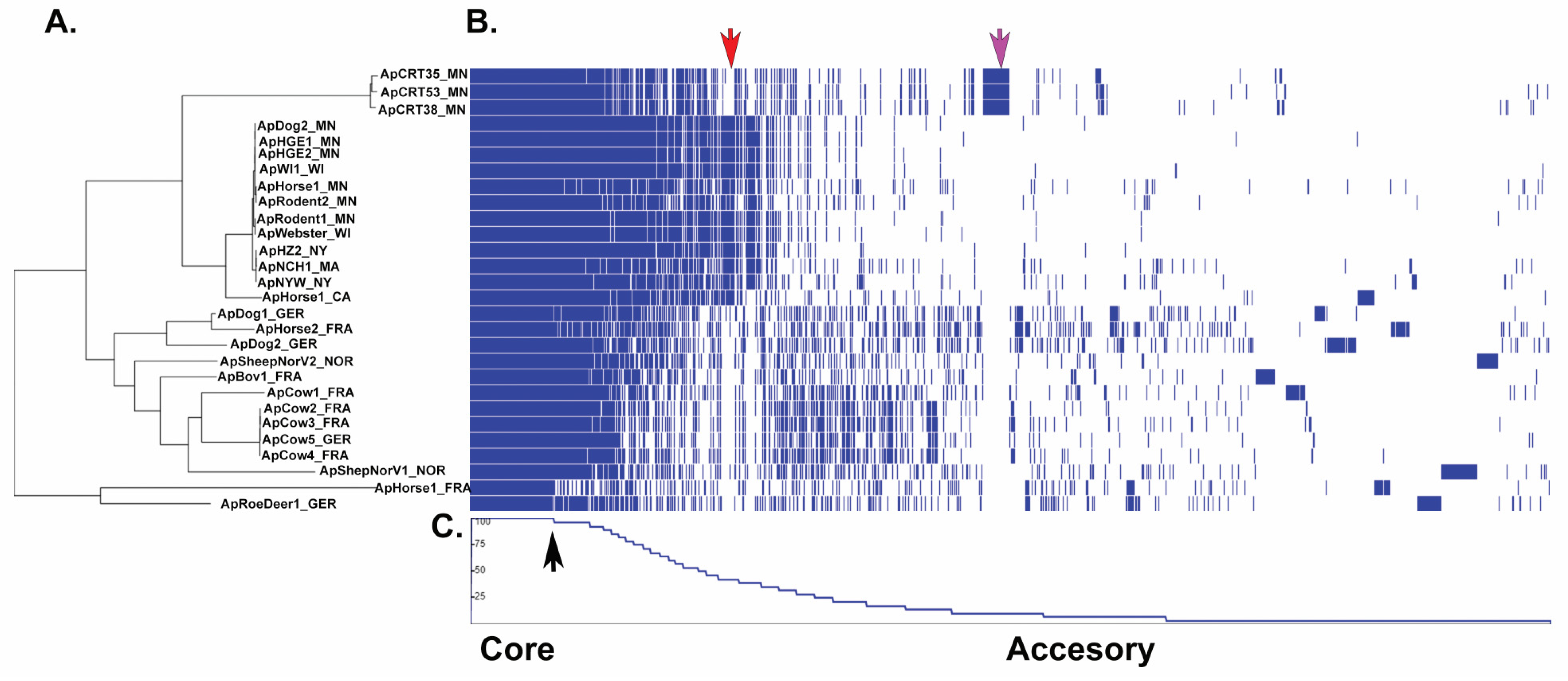 Pathogens 11 00601 g007