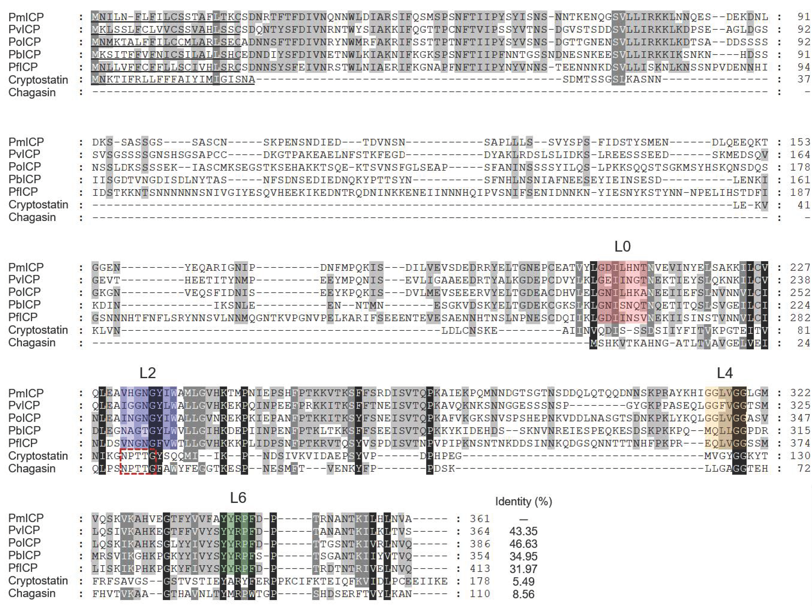 Pathogens 11 00605 g001 Pathogens 11 00605 g001