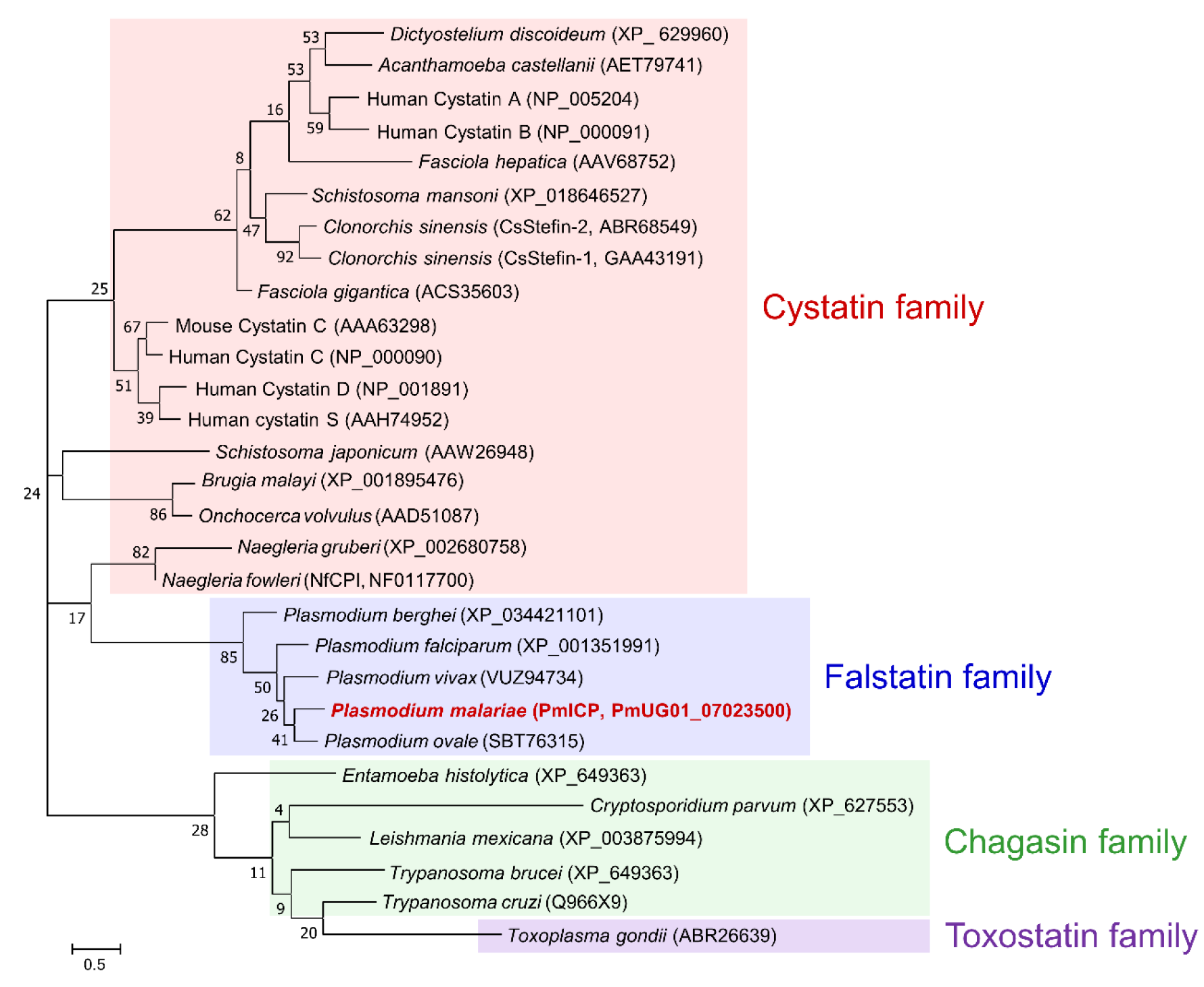 Pathogens 11 00605 g002 Pathogens 11 00605 g002