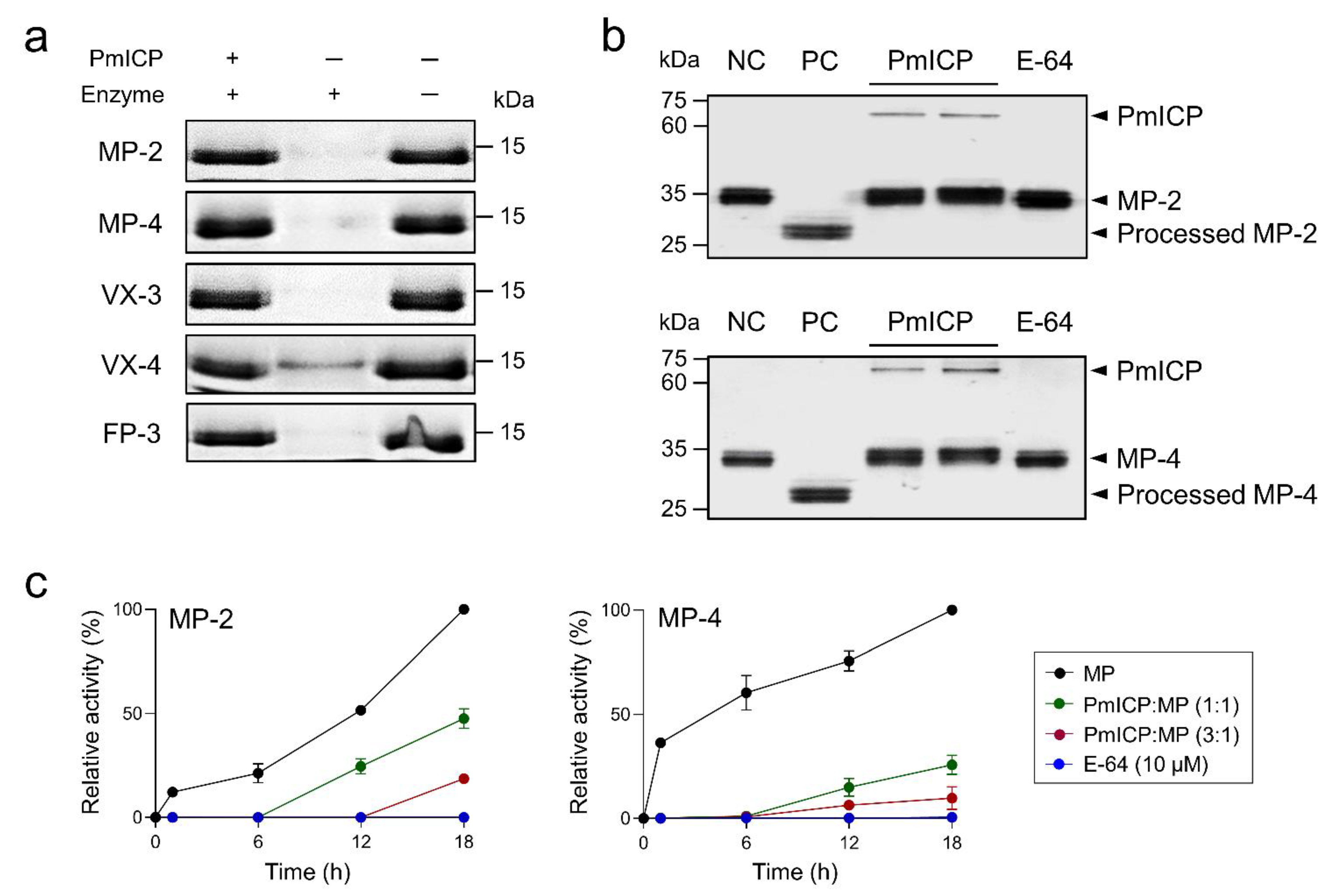 Pathogens 11 00605 g005 Pathogens 11 00605 g005