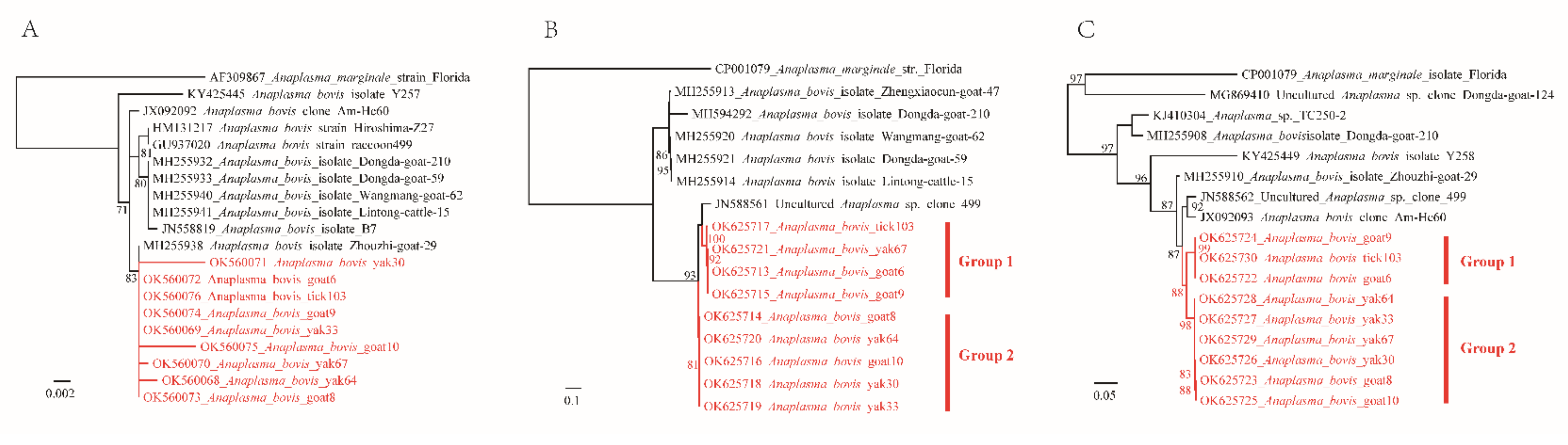Pathogens 11 00606 g002 550