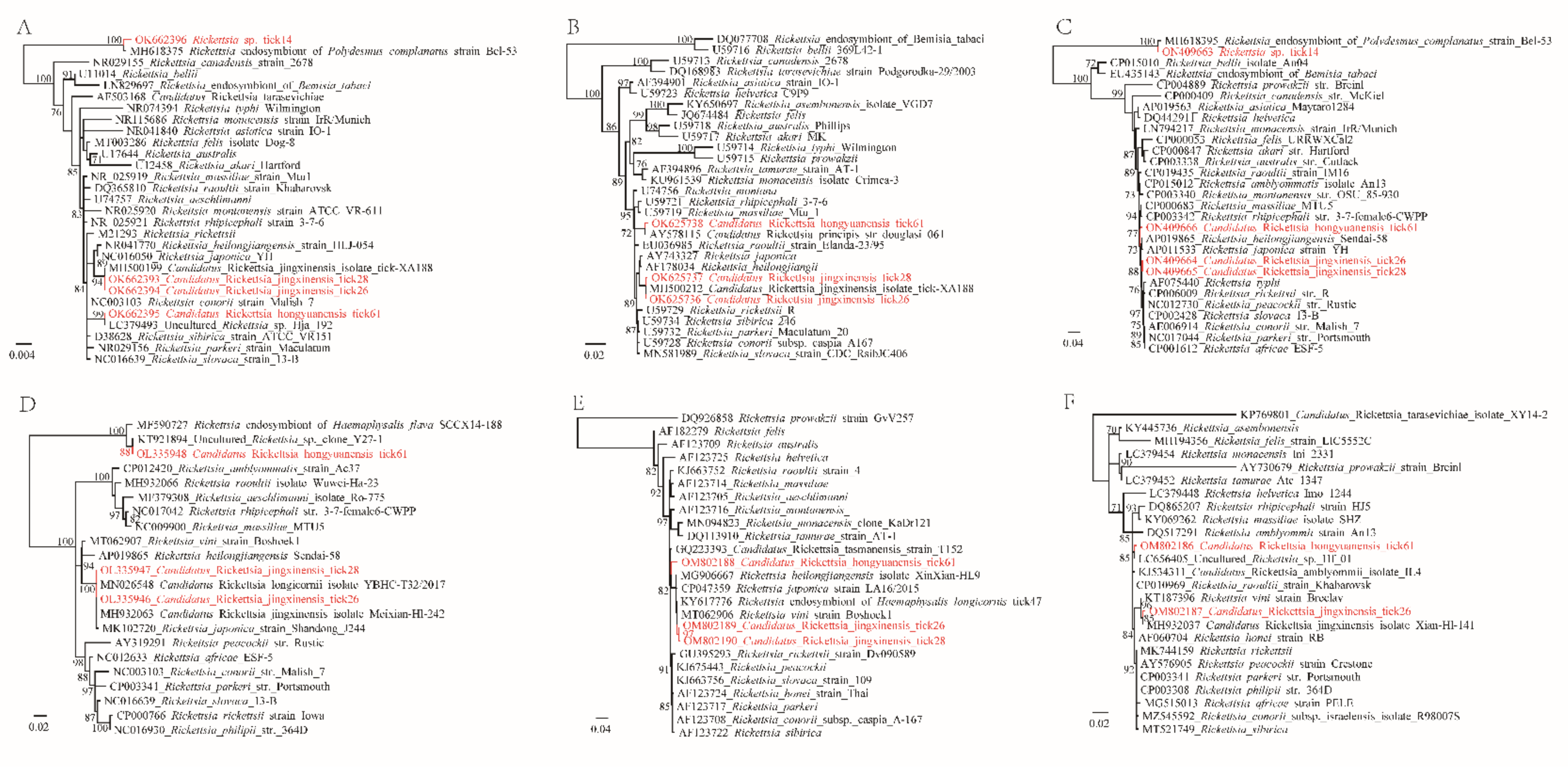 Pathogens 11 00606 g003 550