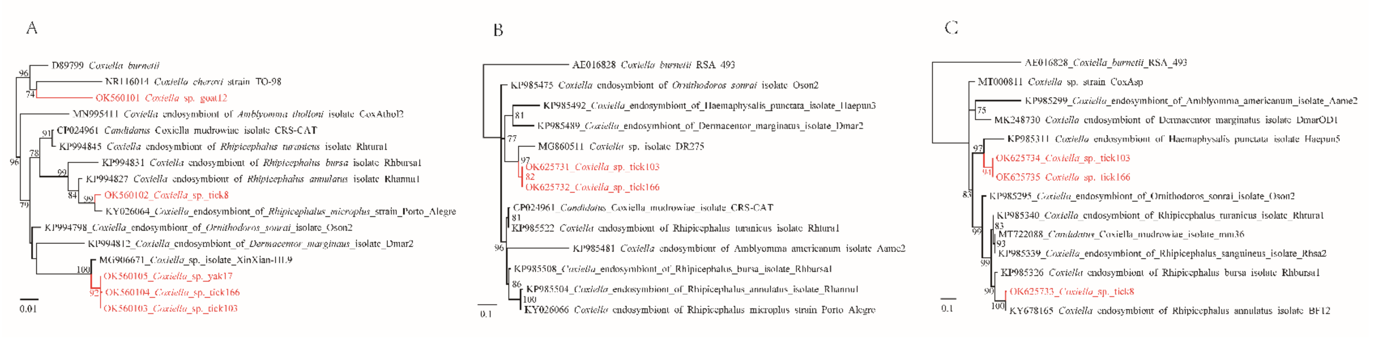 Pathogens 11 00606 g004 550