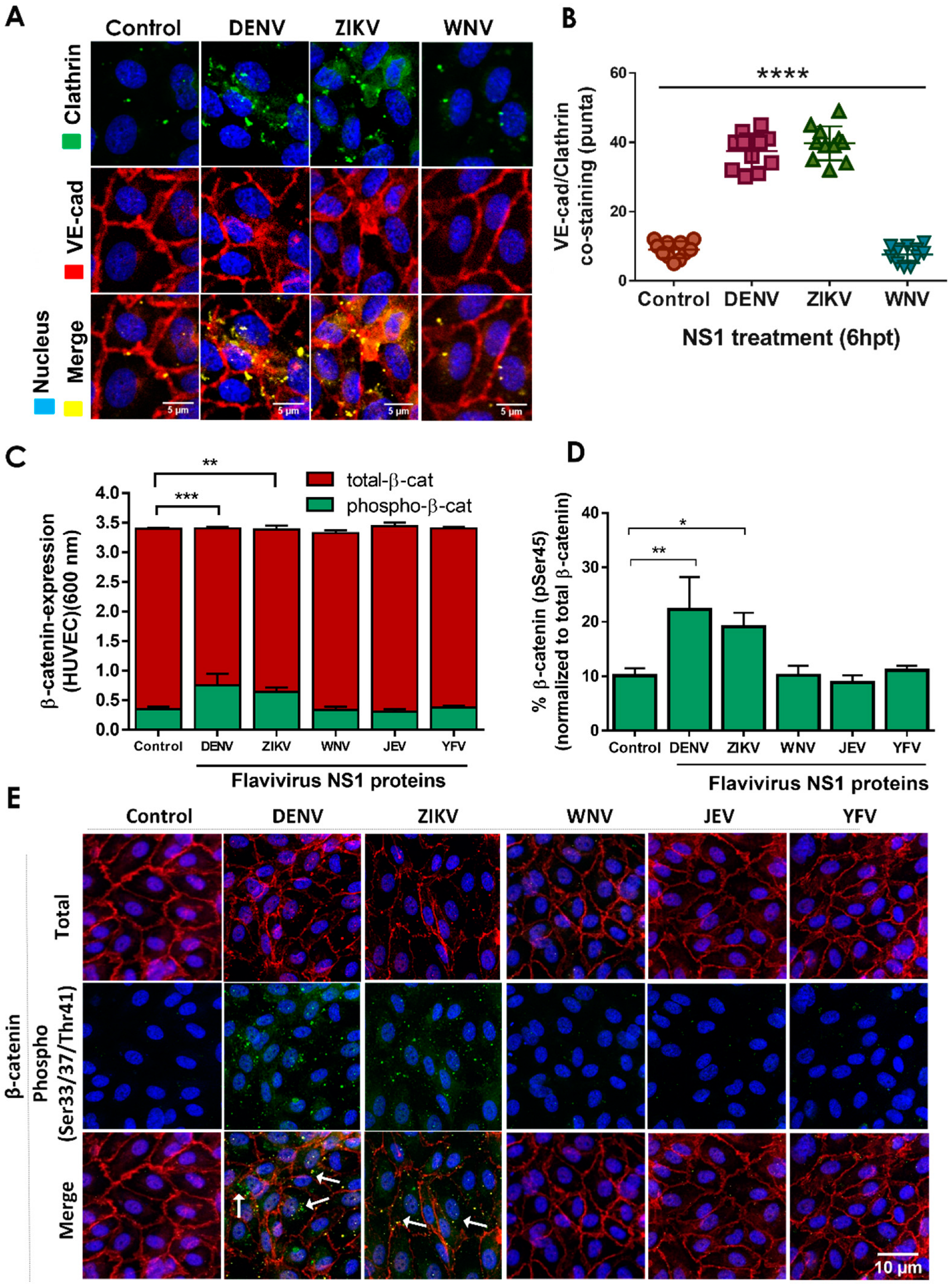 Pathogens 11 00615 g003