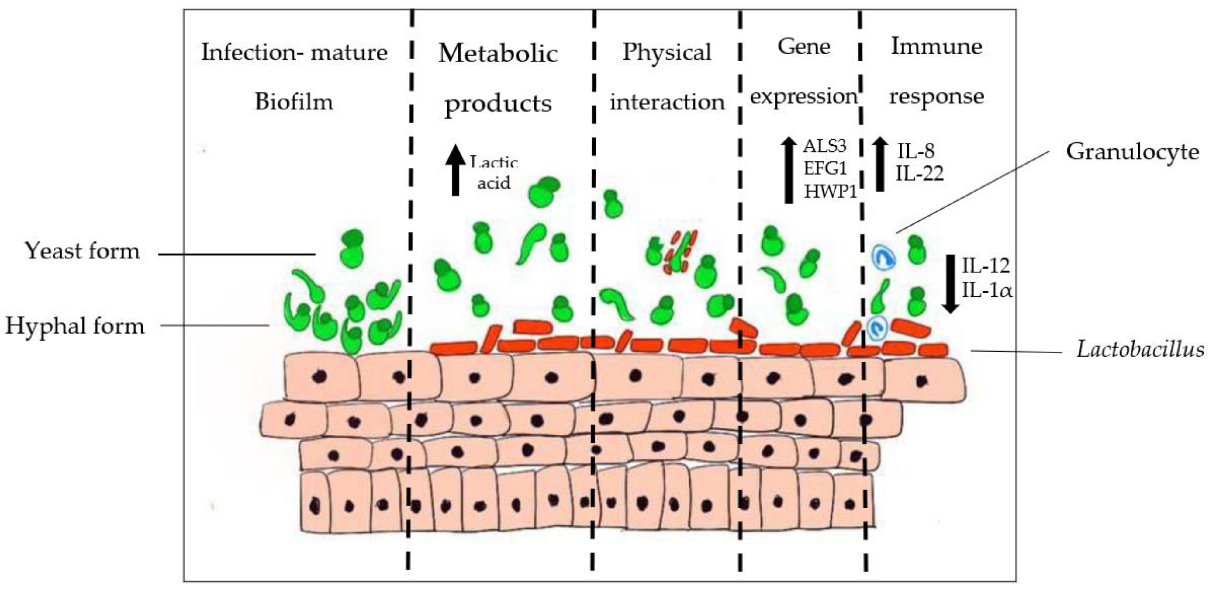 Pathogens 11 00618 g002 Pathogens 11 00618 g002