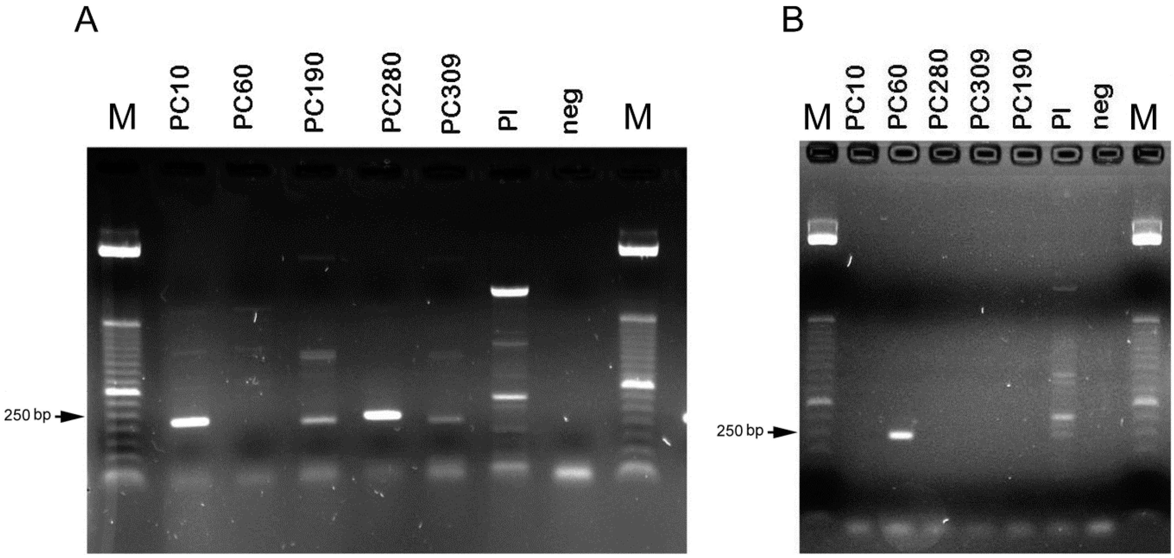 Pathogens 11 00619 g003