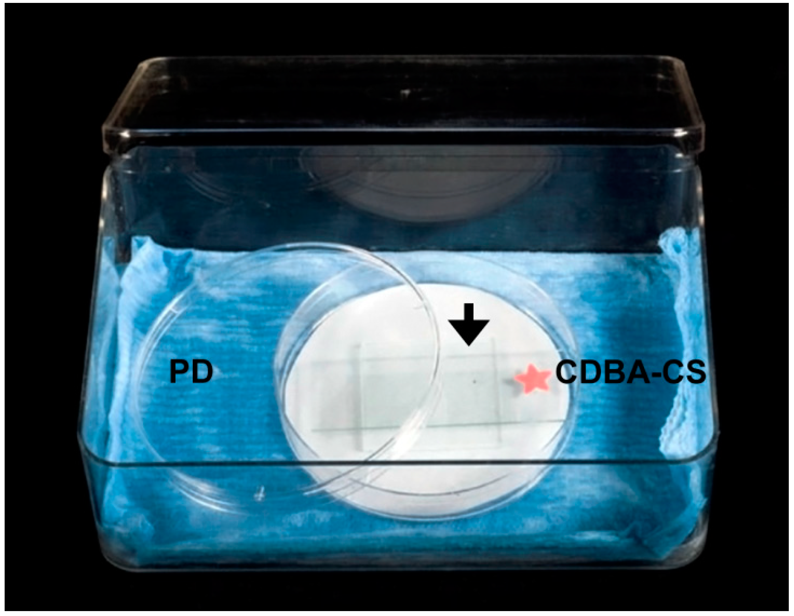 Pathogens 11 00619 g004