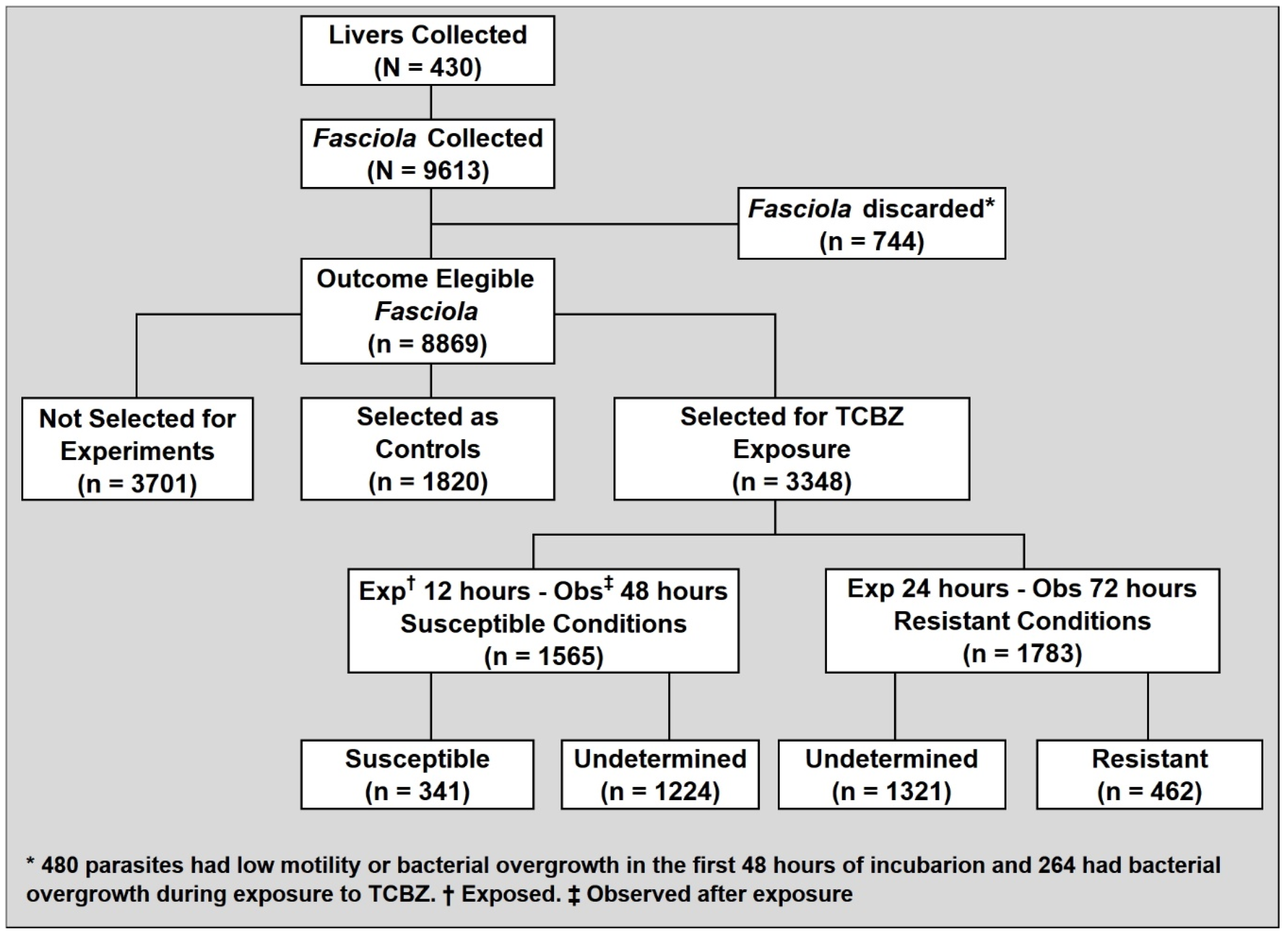 Pathogens 11 00625 g003 550