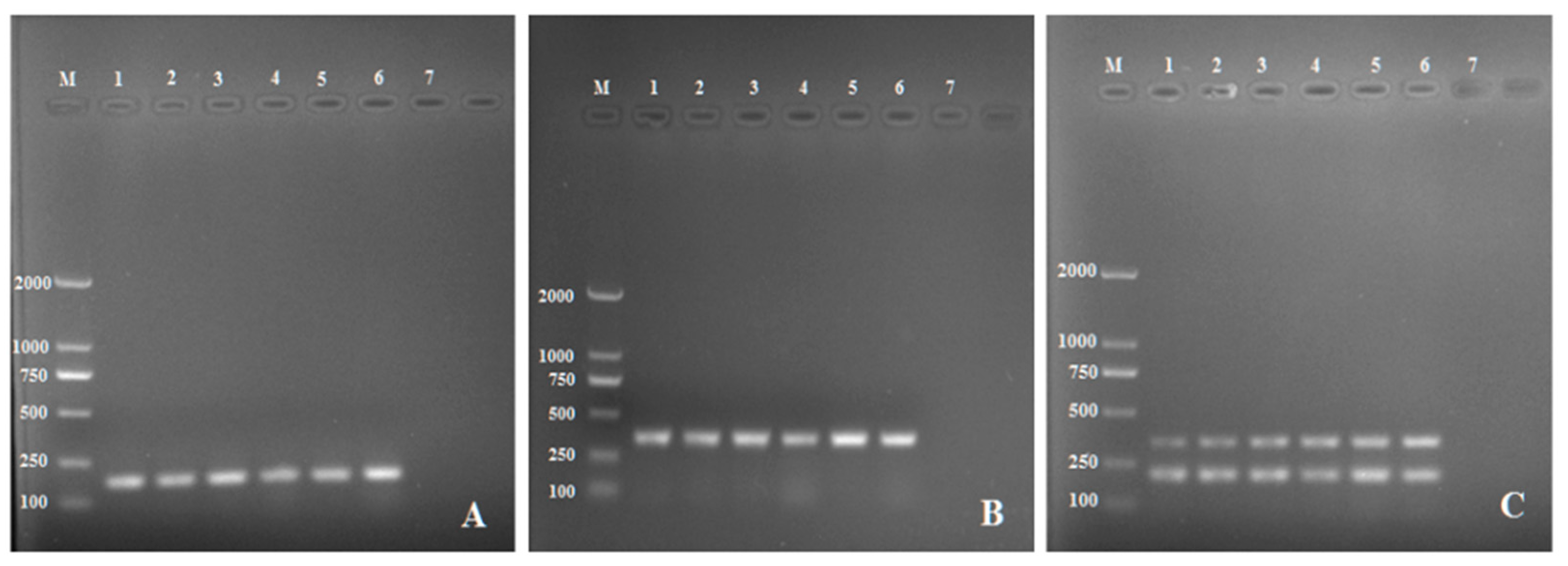 Pathogens 11 00627 g001