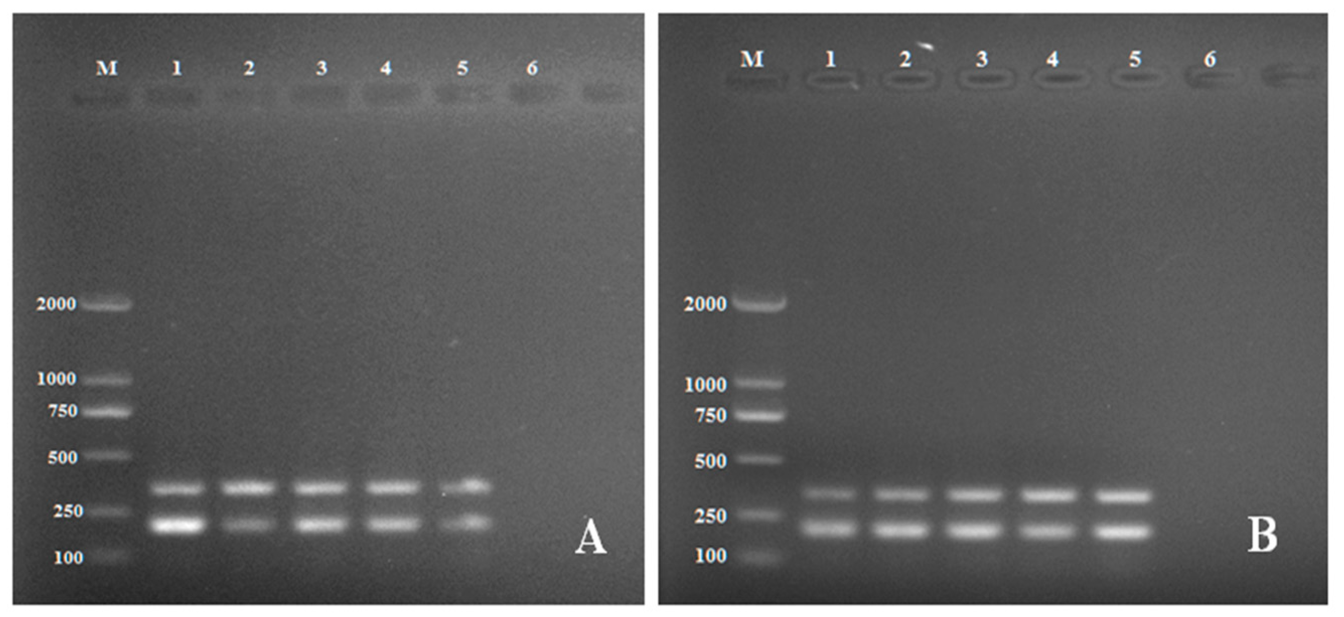 Pathogens 11 00627 g002