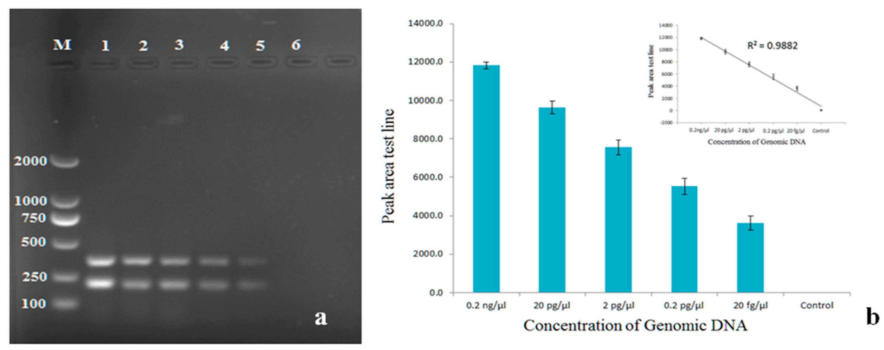 Pathogens 11 00627 g003