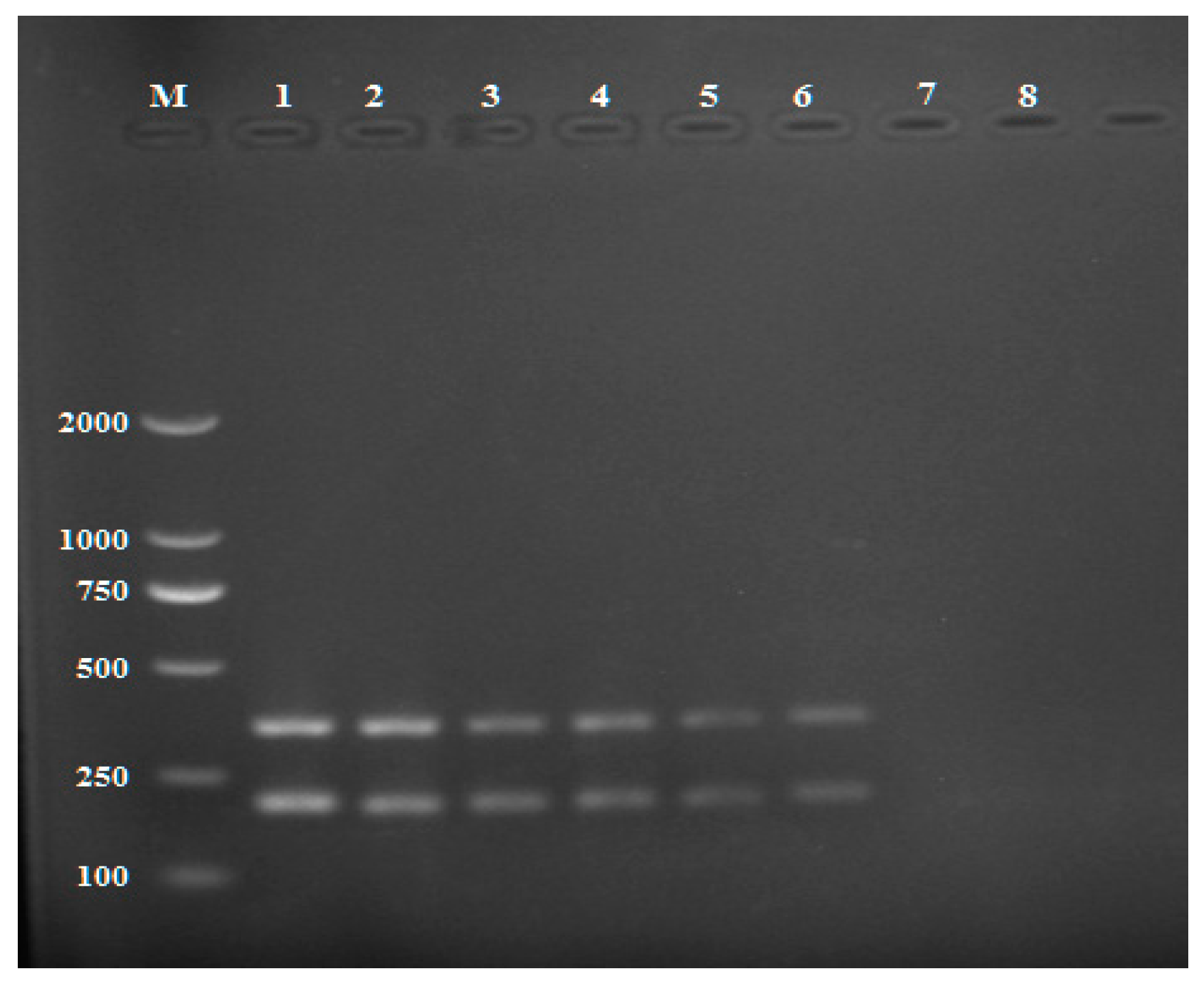 Pathogens 11 00627 g005