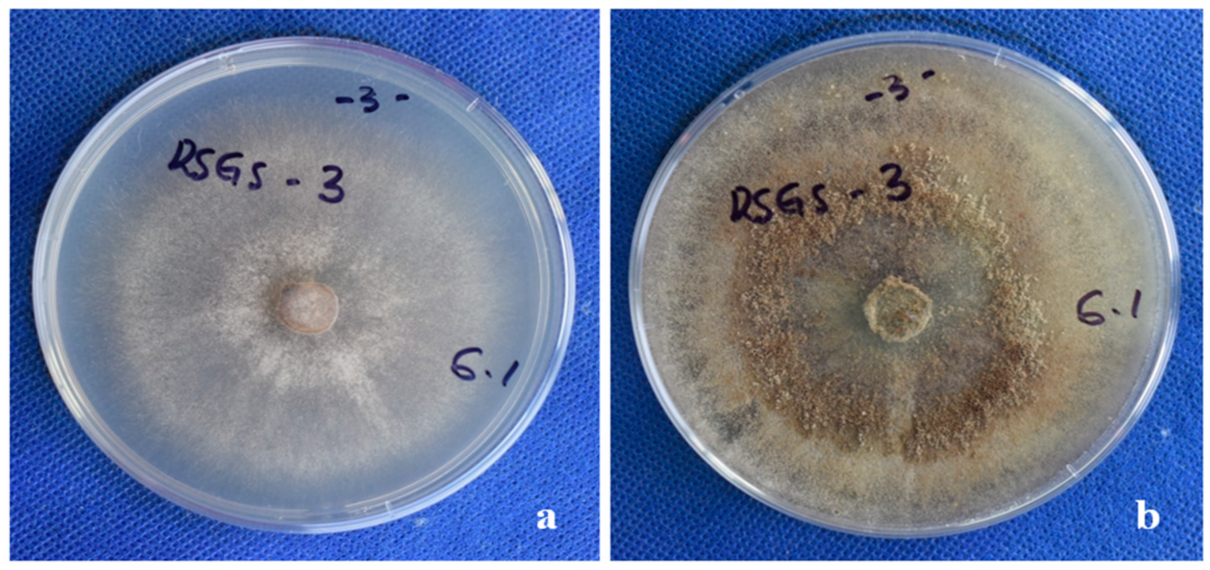 Pathogens 11 00627 g006