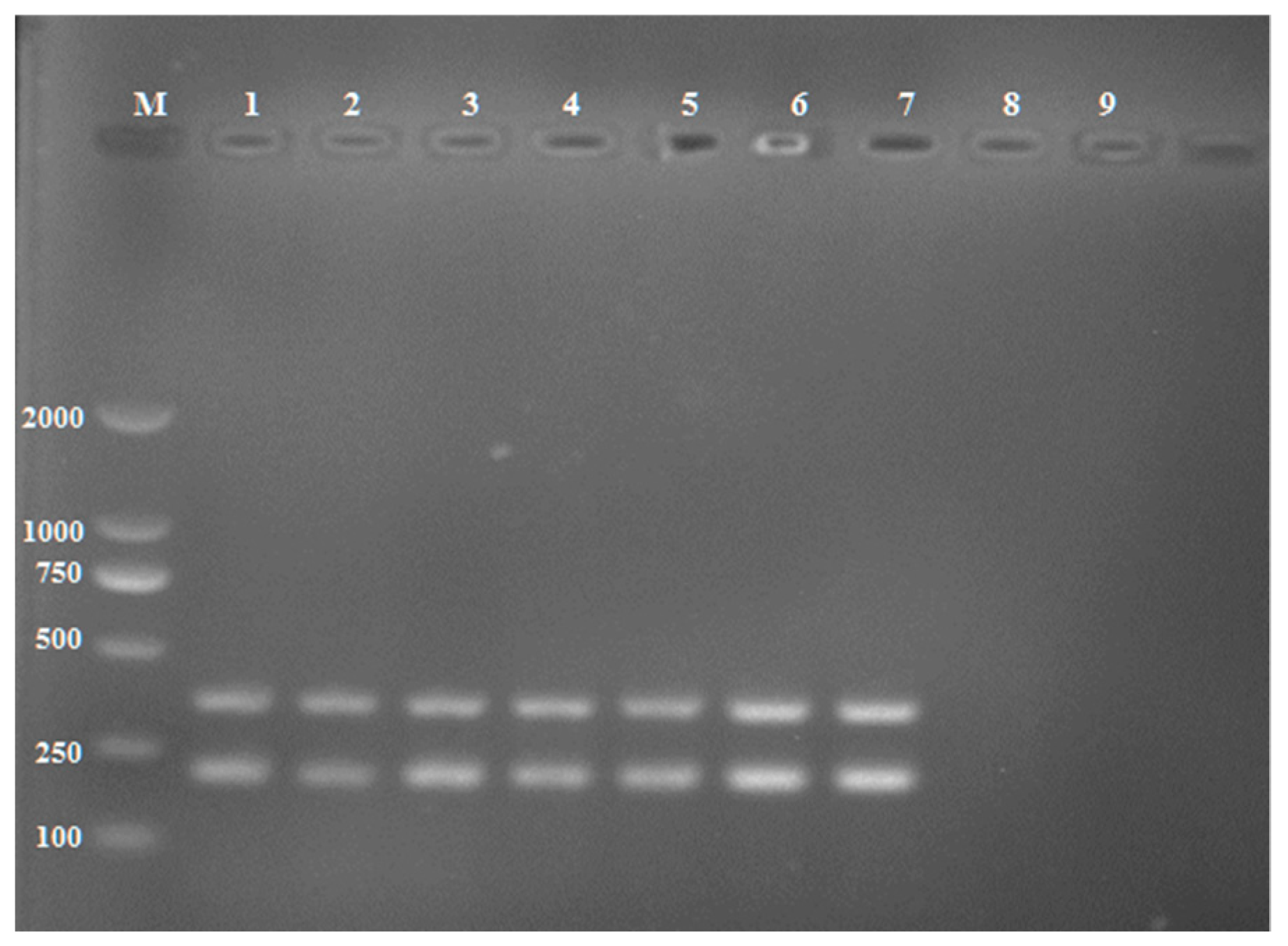 Pathogens 11 00627 g008