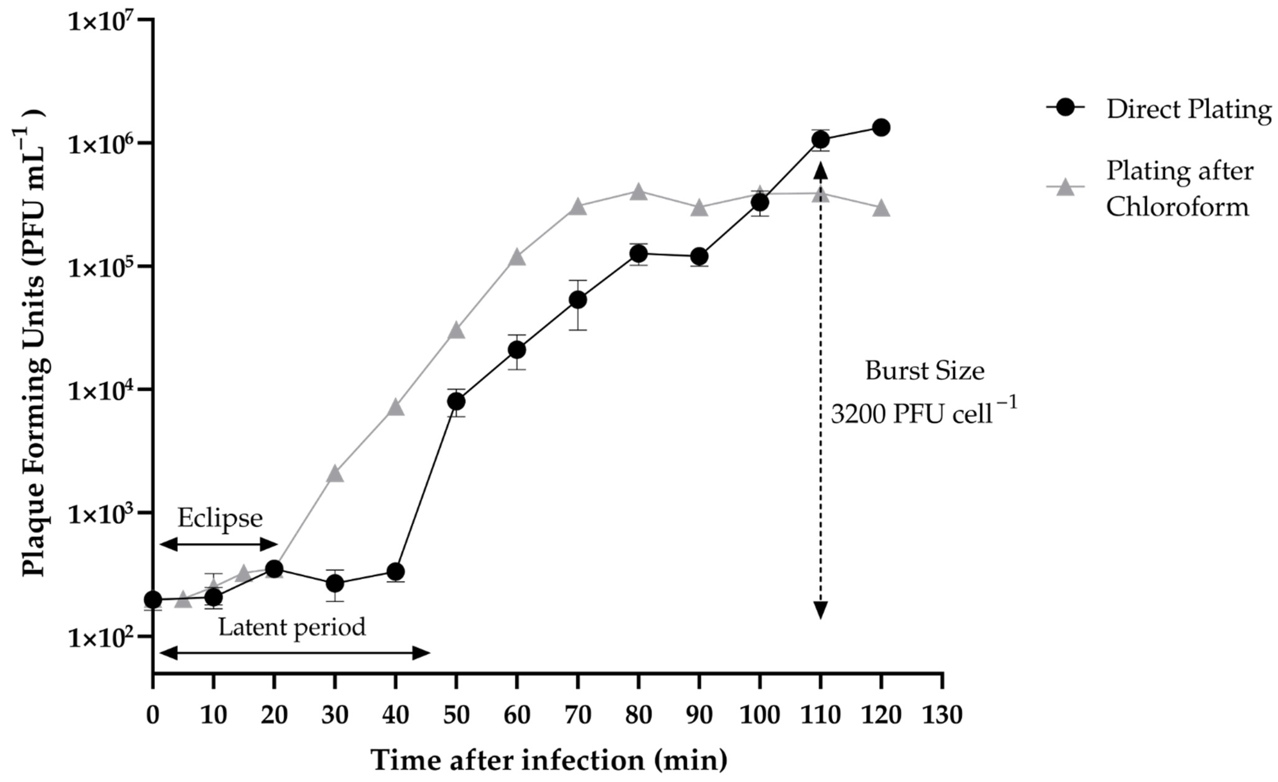 Pathogens 11 00630 g004 Pathogens 11 00630 g004