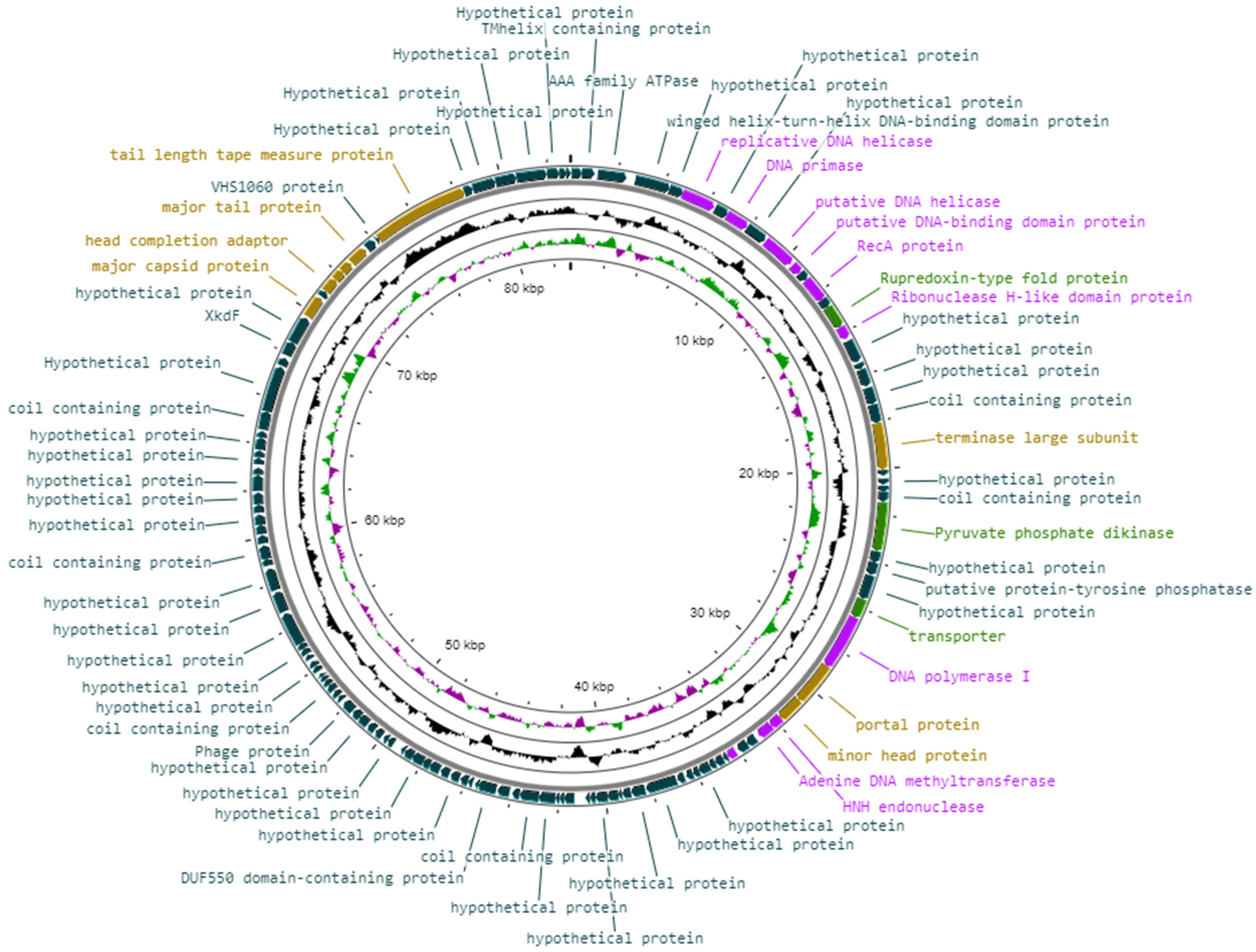 Pathogens 11 00630 g006 Pathogens 11 00630 g006