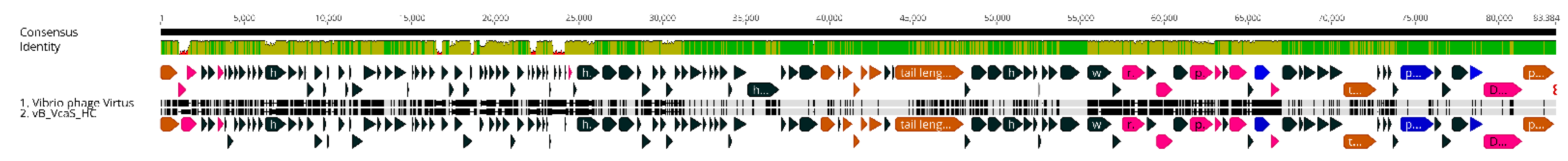 Pathogens 11 00630 g007 Pathogens 11 00630 g007