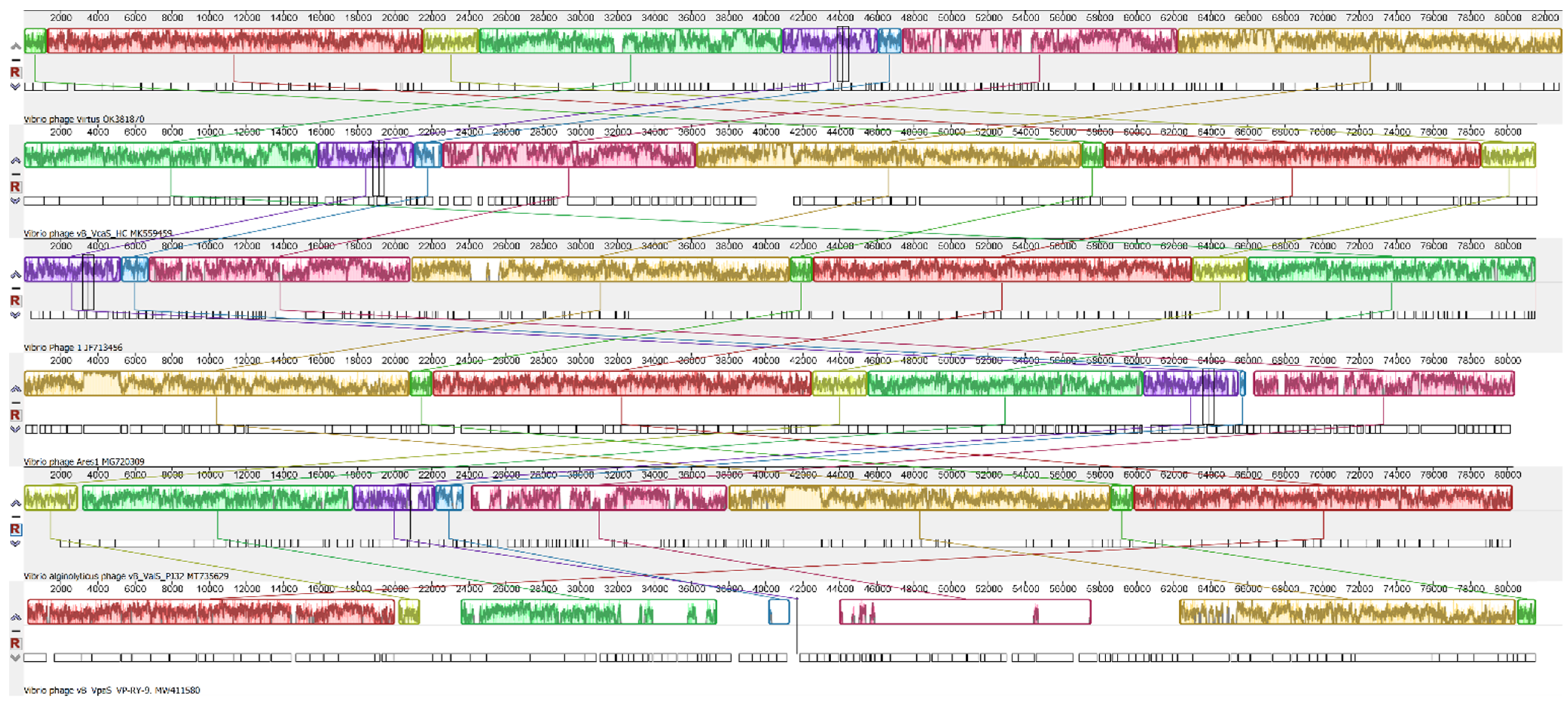 Pathogens 11 00630 g008 Pathogens 11 00630 g008