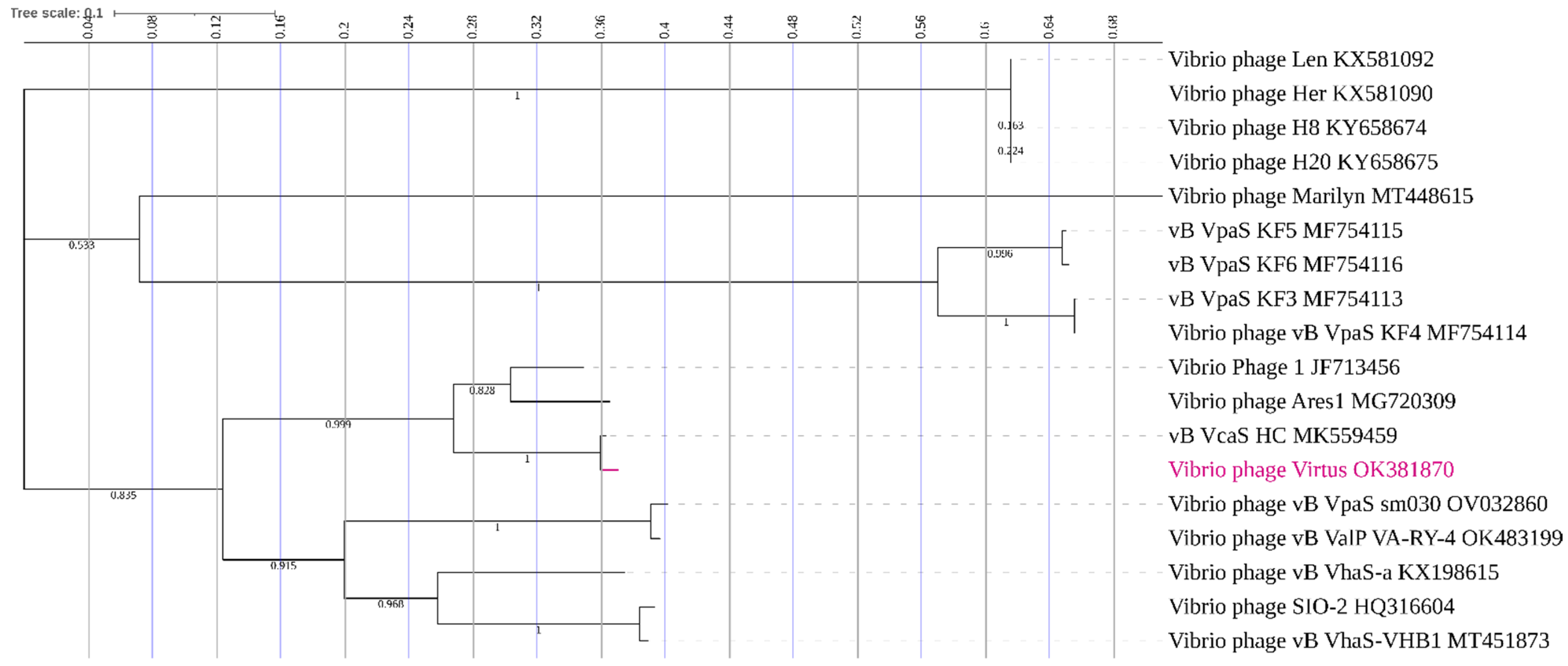 Pathogens 11 00630 g010 Pathogens 11 00630 g010
