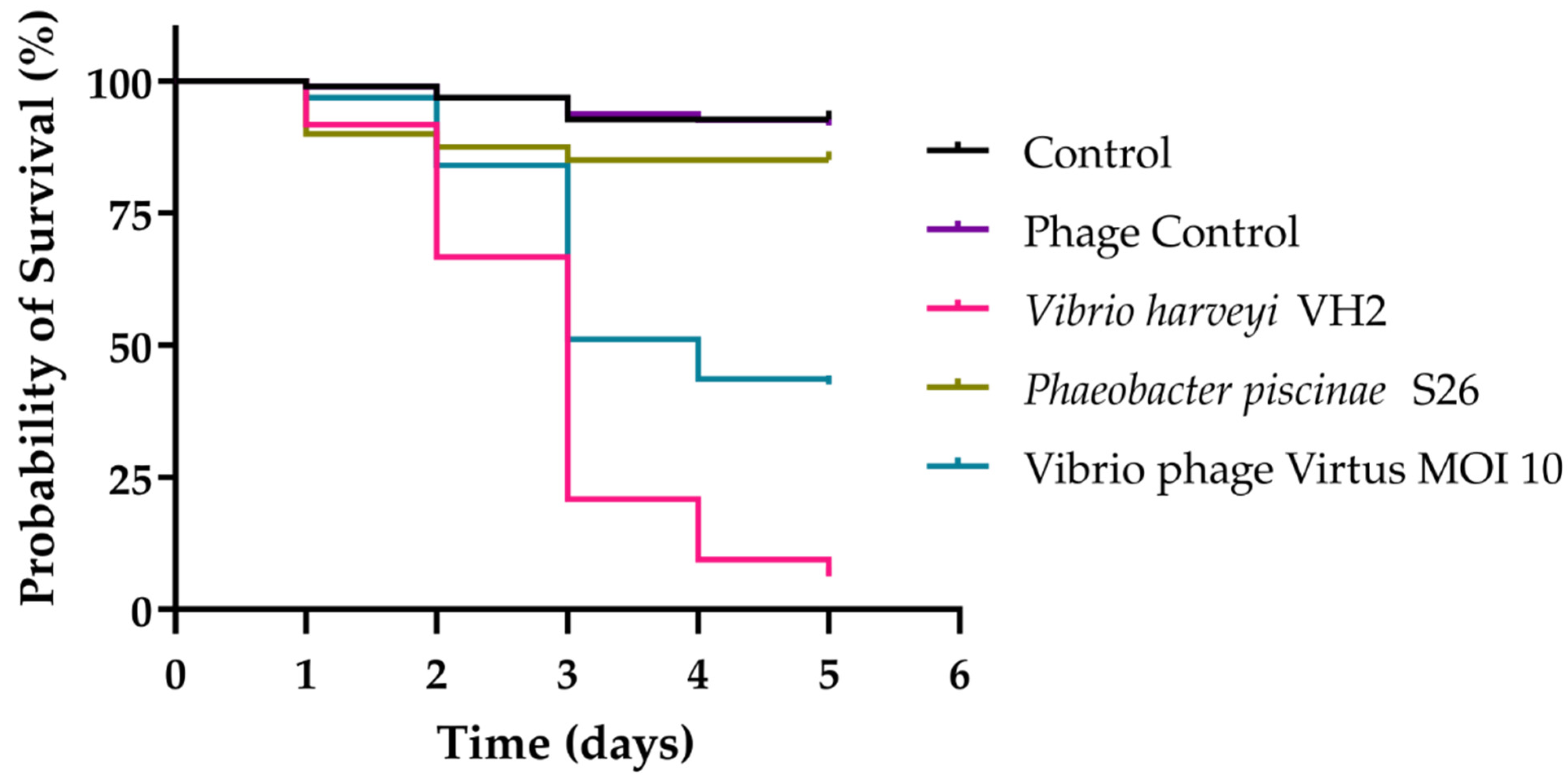 Pathogens 11 00630 g011 Pathogens 11 00630 g011