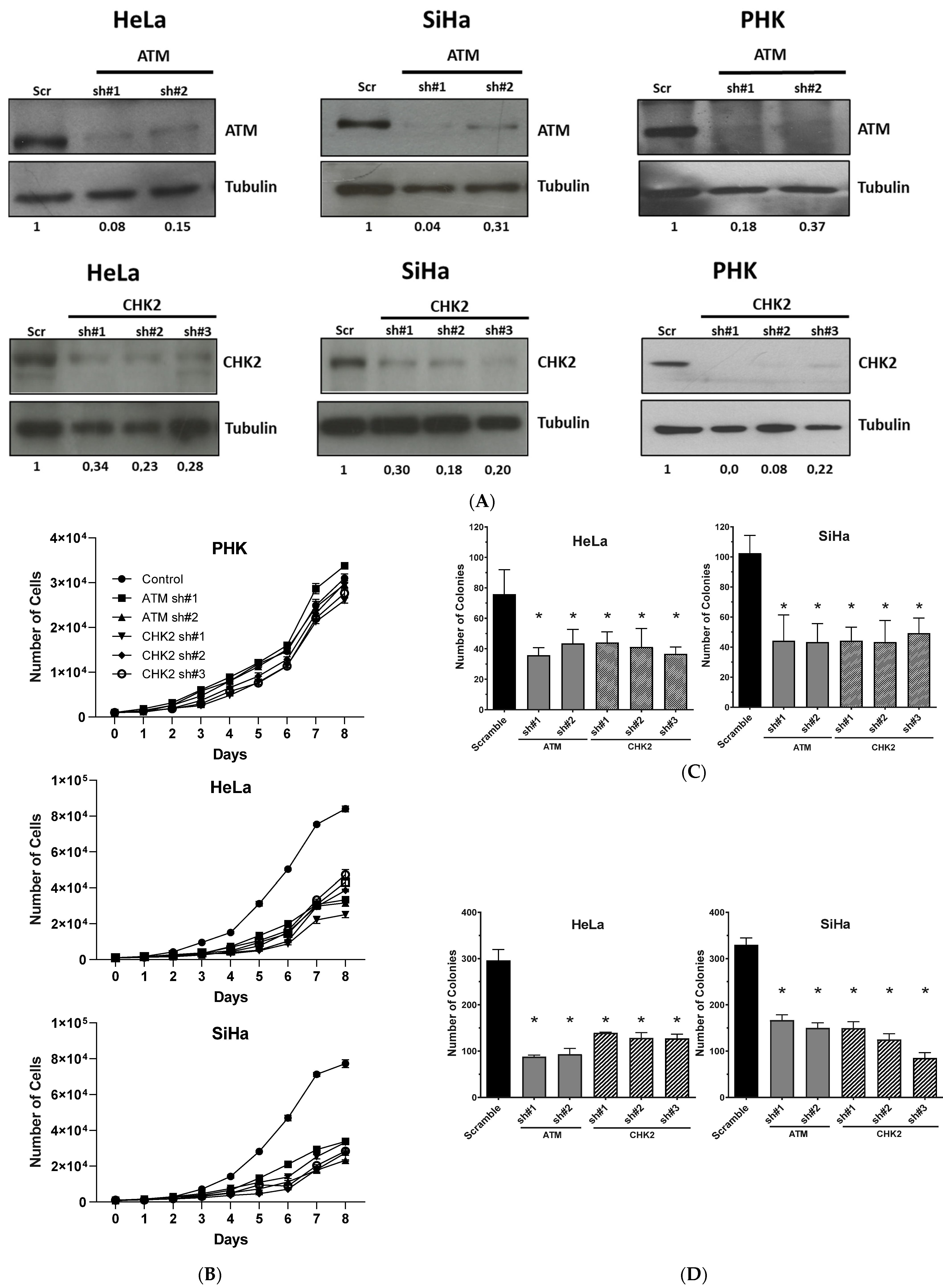 Pathogens 11 00637 g002