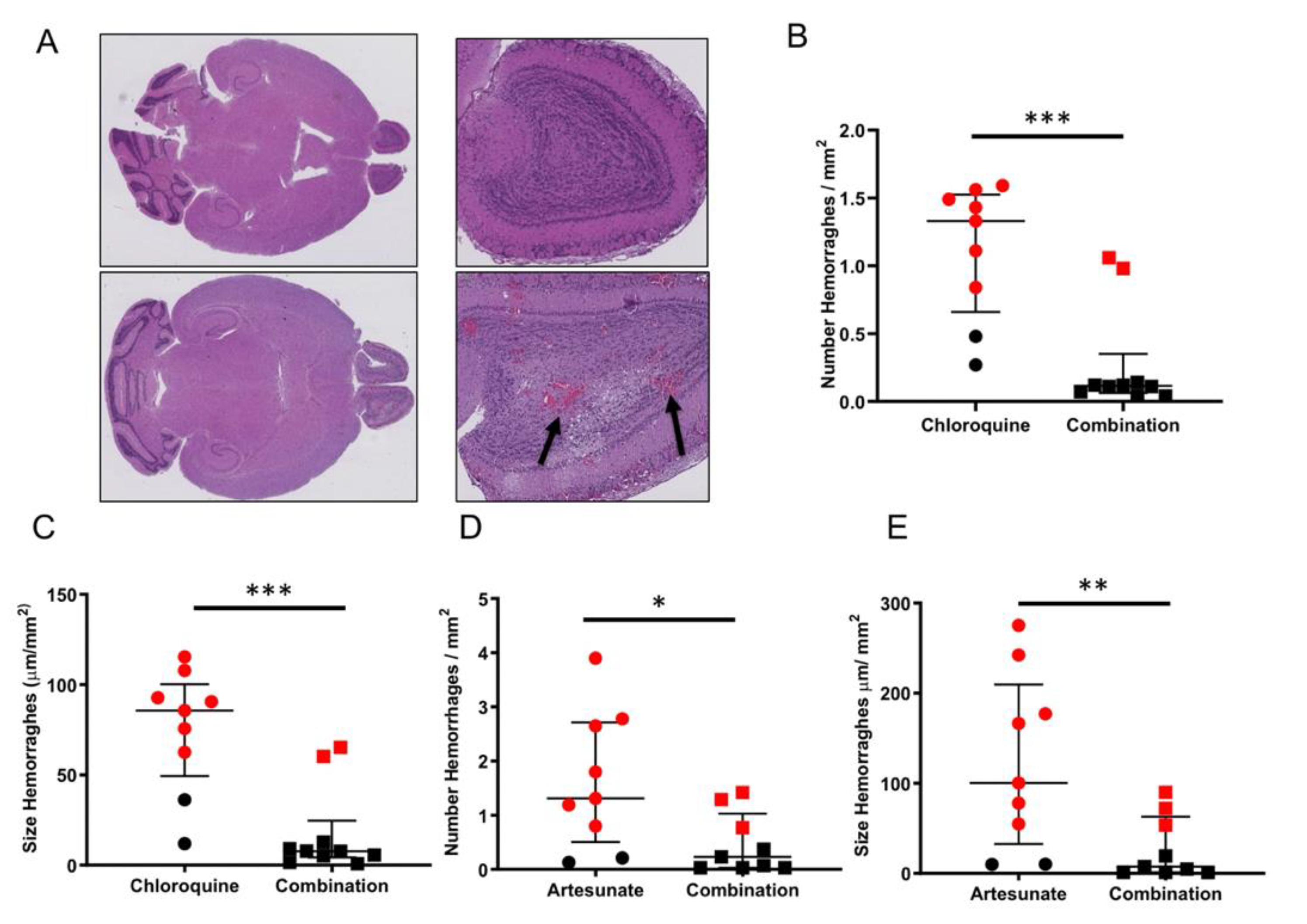 Pathogens 11 00643 g006