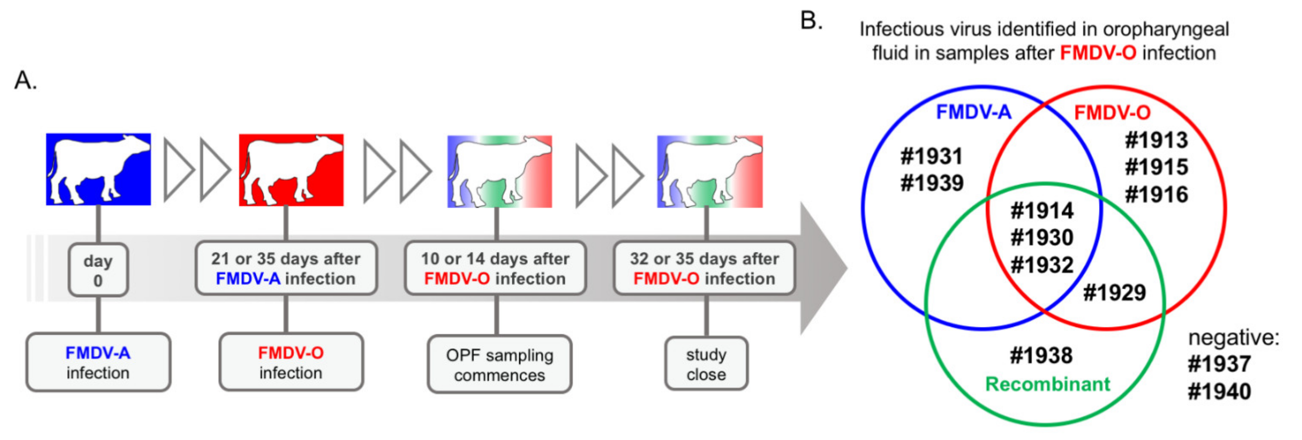 Pathogens 11 00644 g001