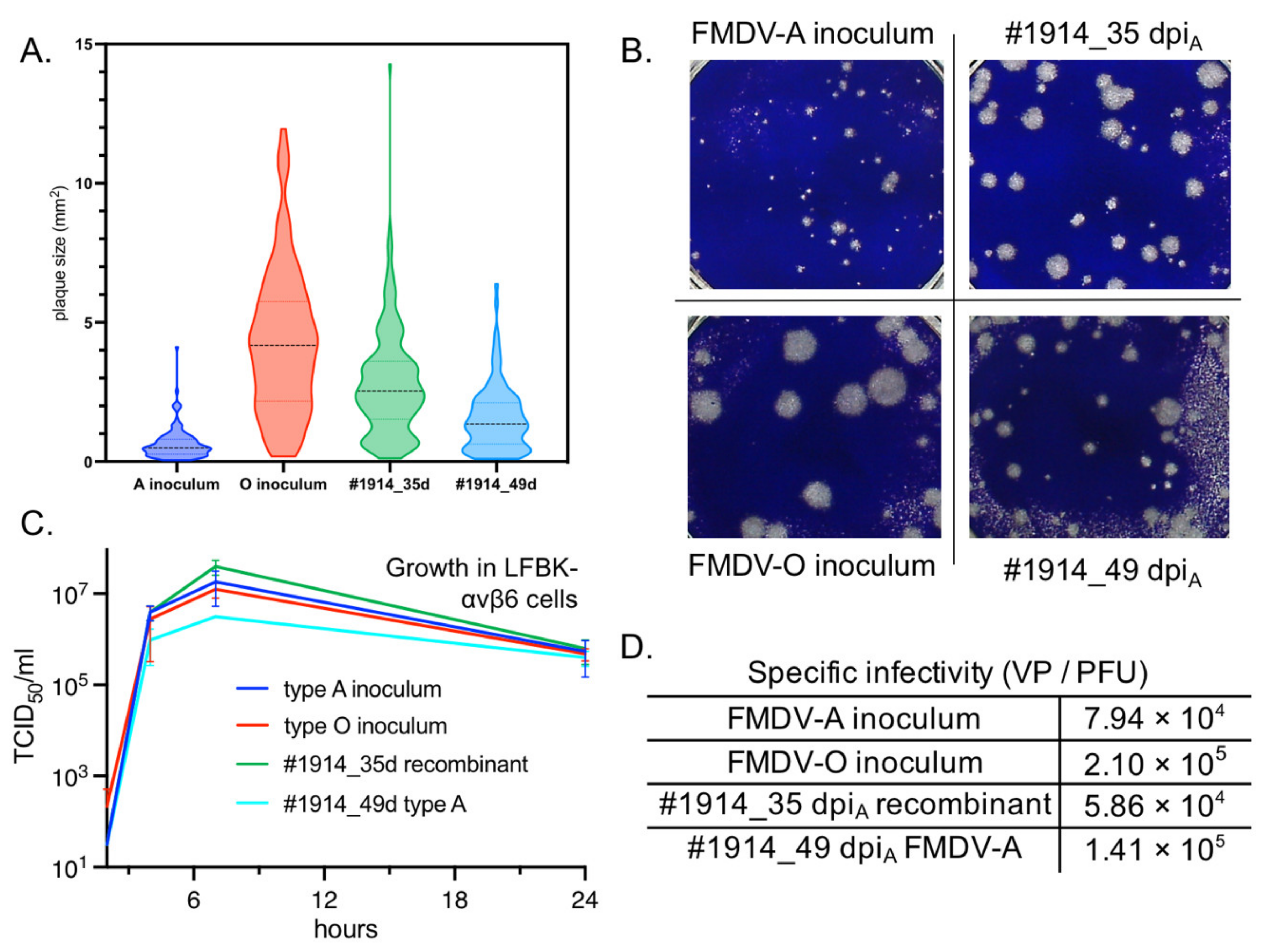 Pathogens 11 00644 g007