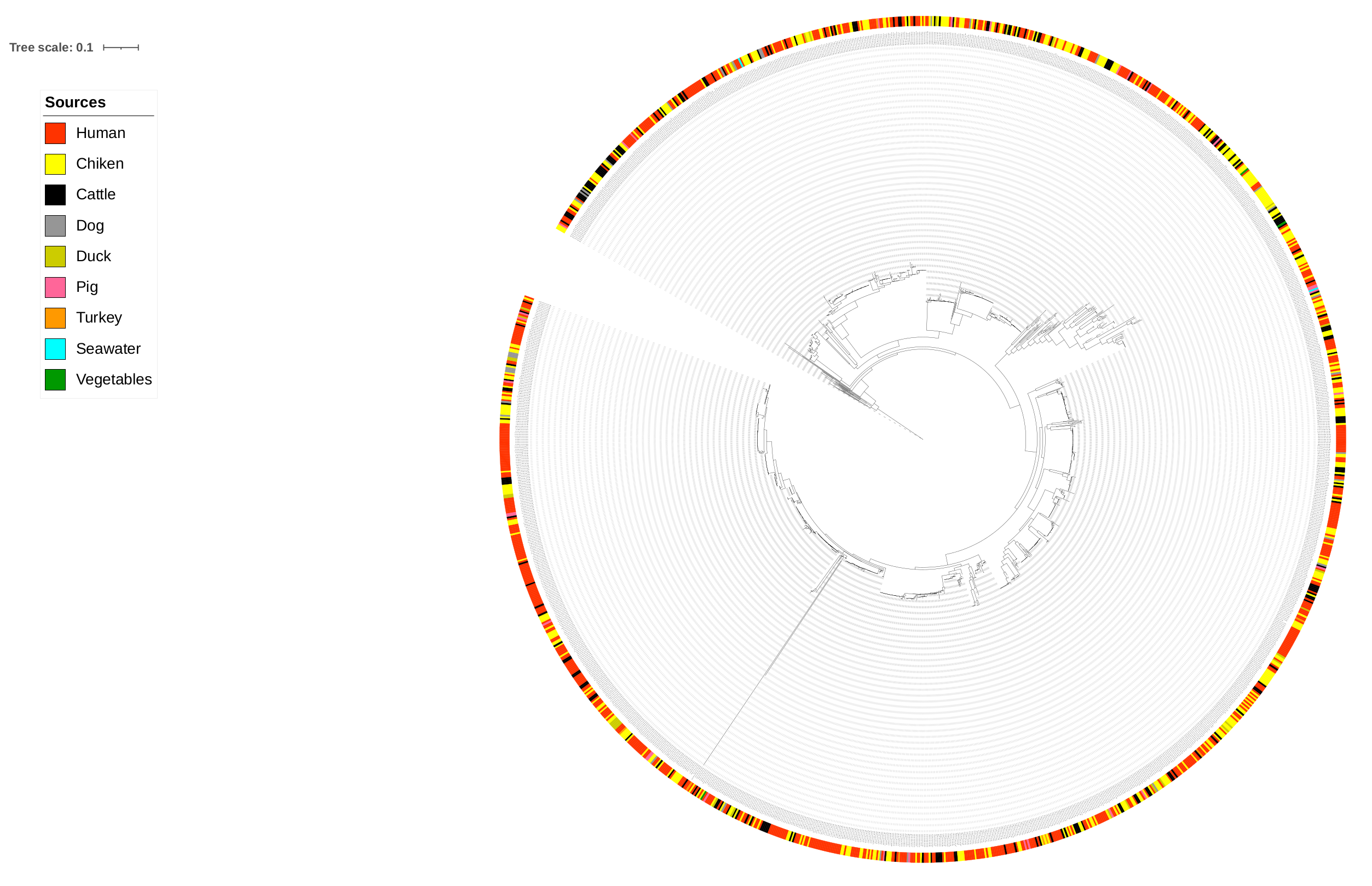 Pathogens 11 00645 g001