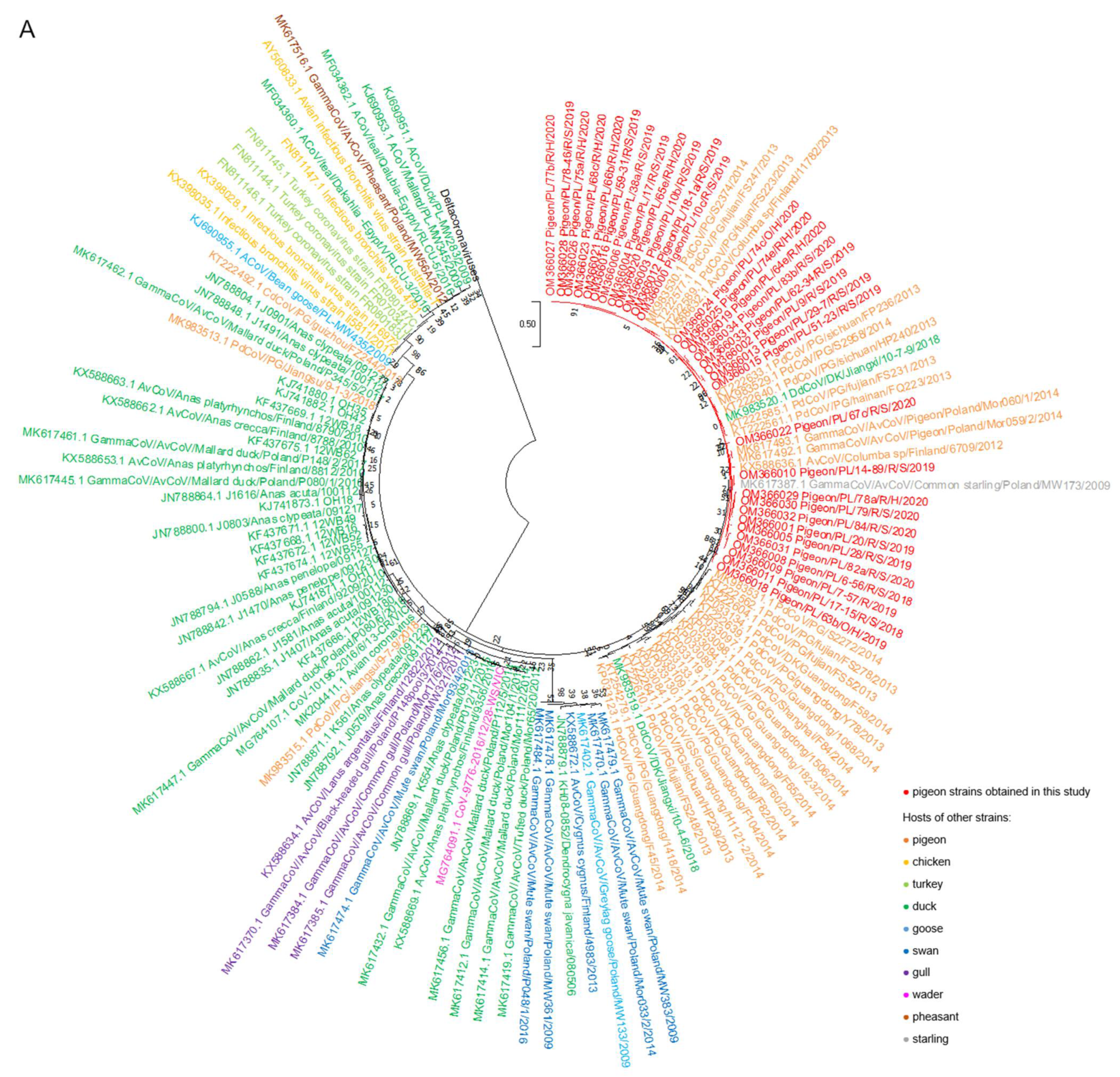 Pathogens 11 00646 g001a