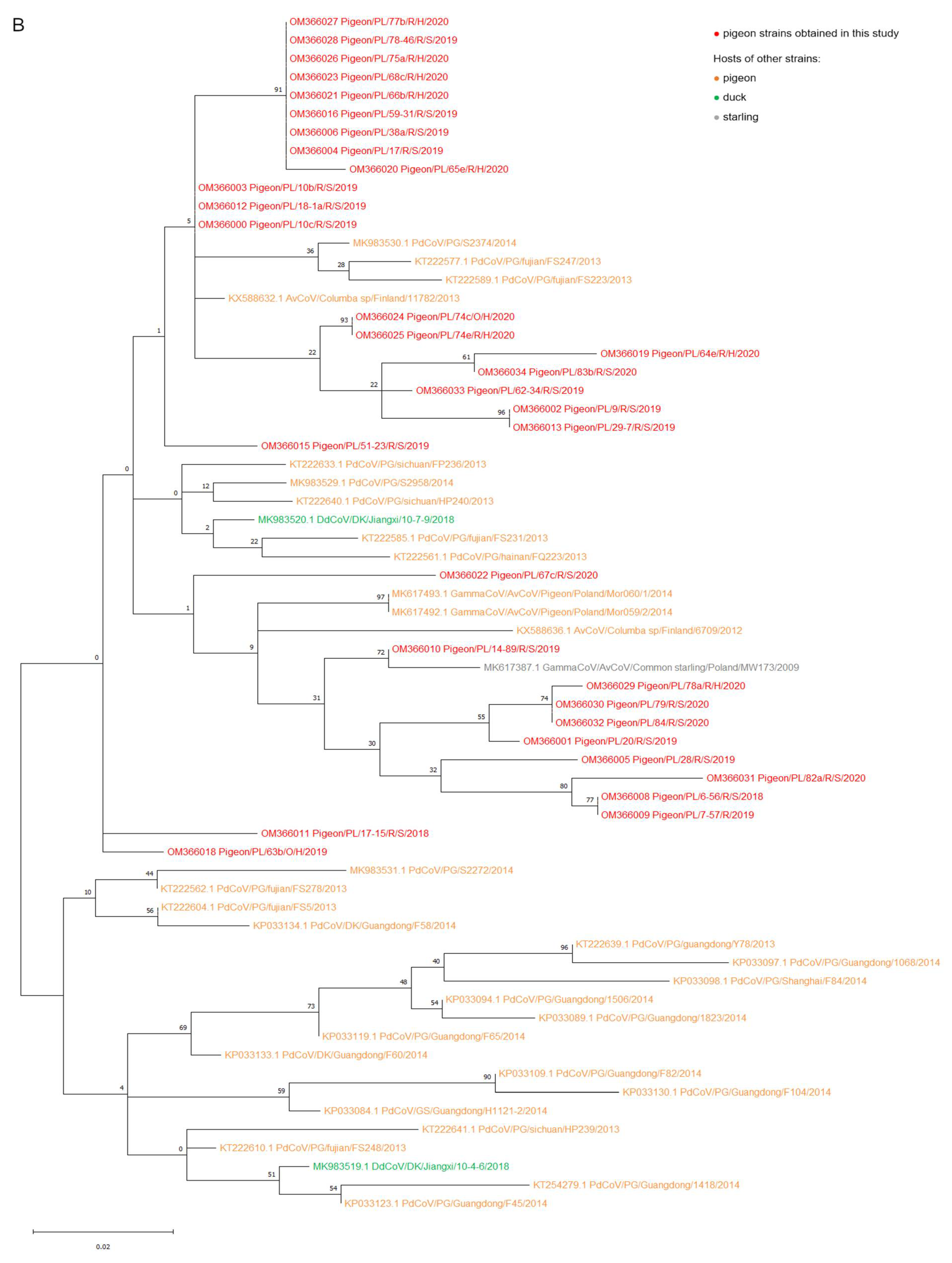 Pathogens 11 00646 g001b