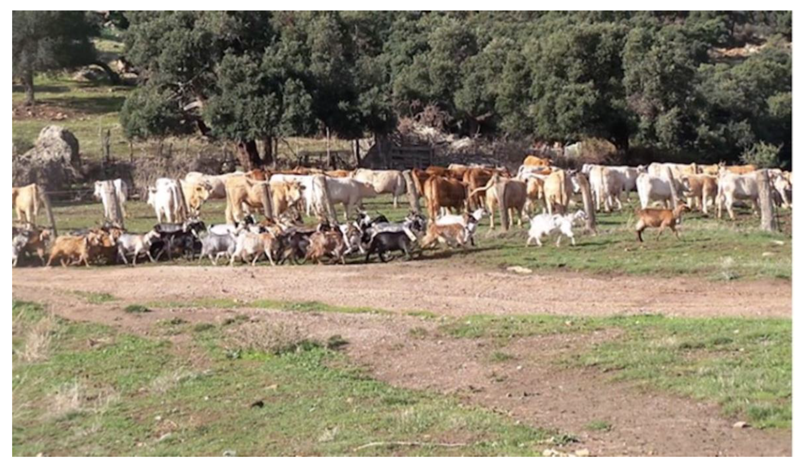 Pathogens 11 00649 g002