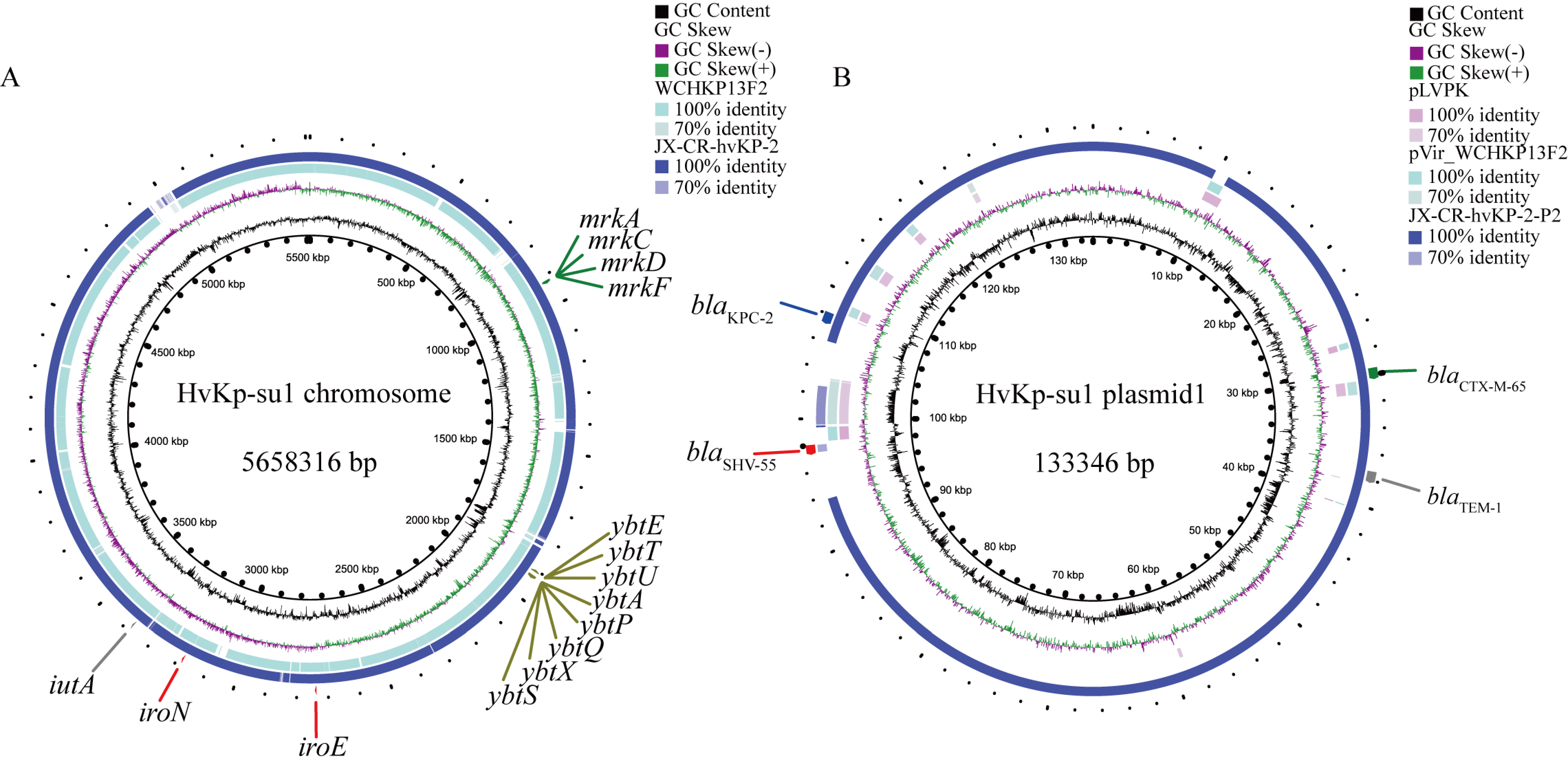 Pathogens 11 00657 g004