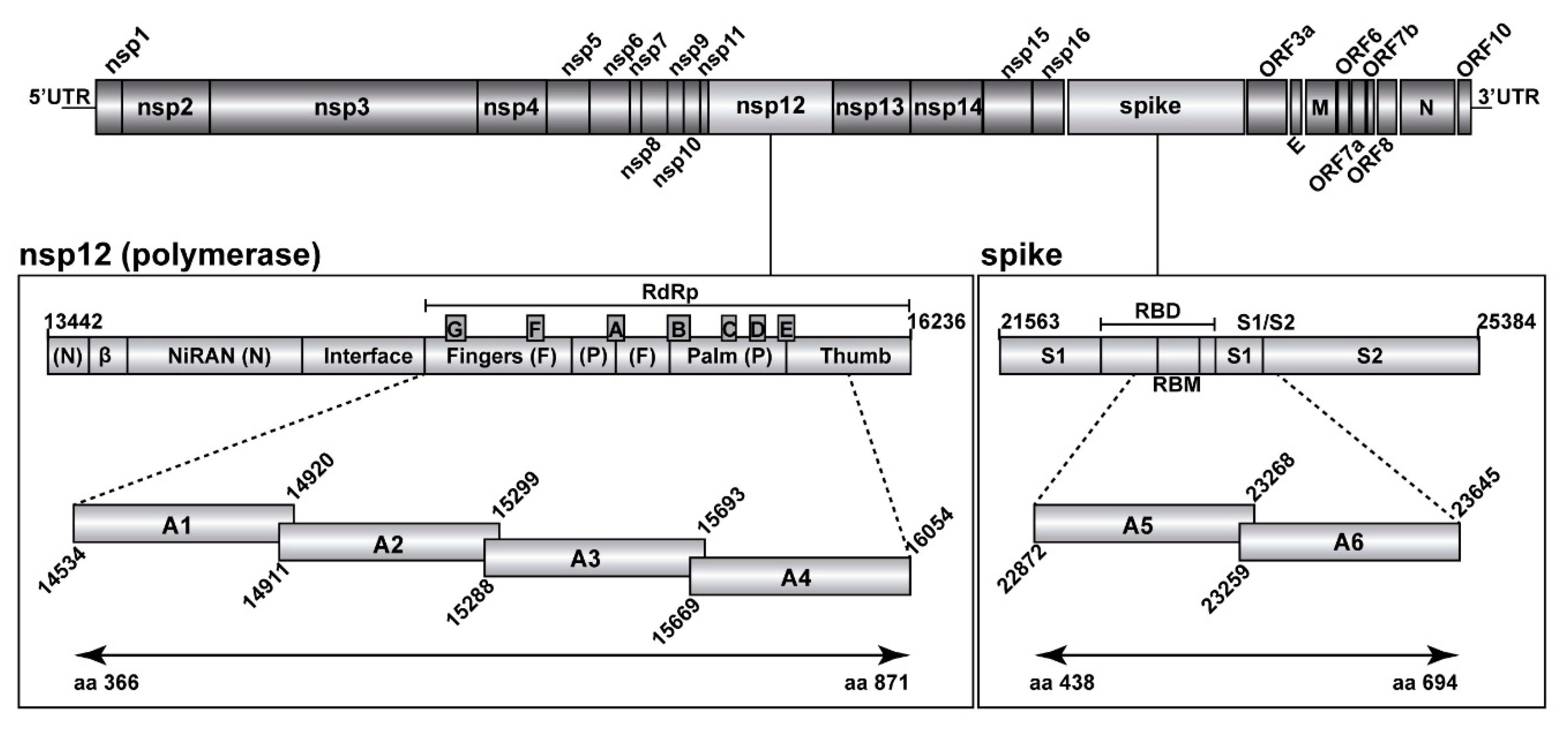 Pathogens 11 00662 g001