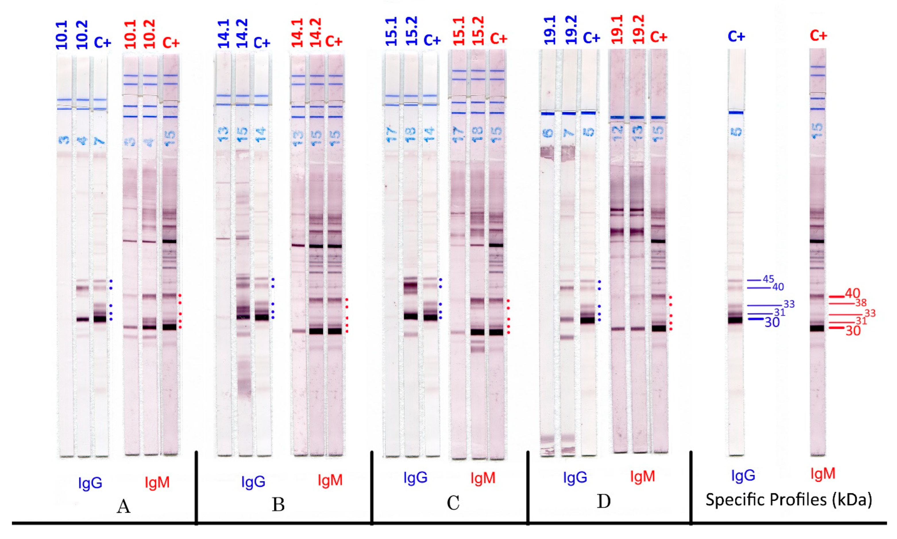 Pathogens 11 00665 g001