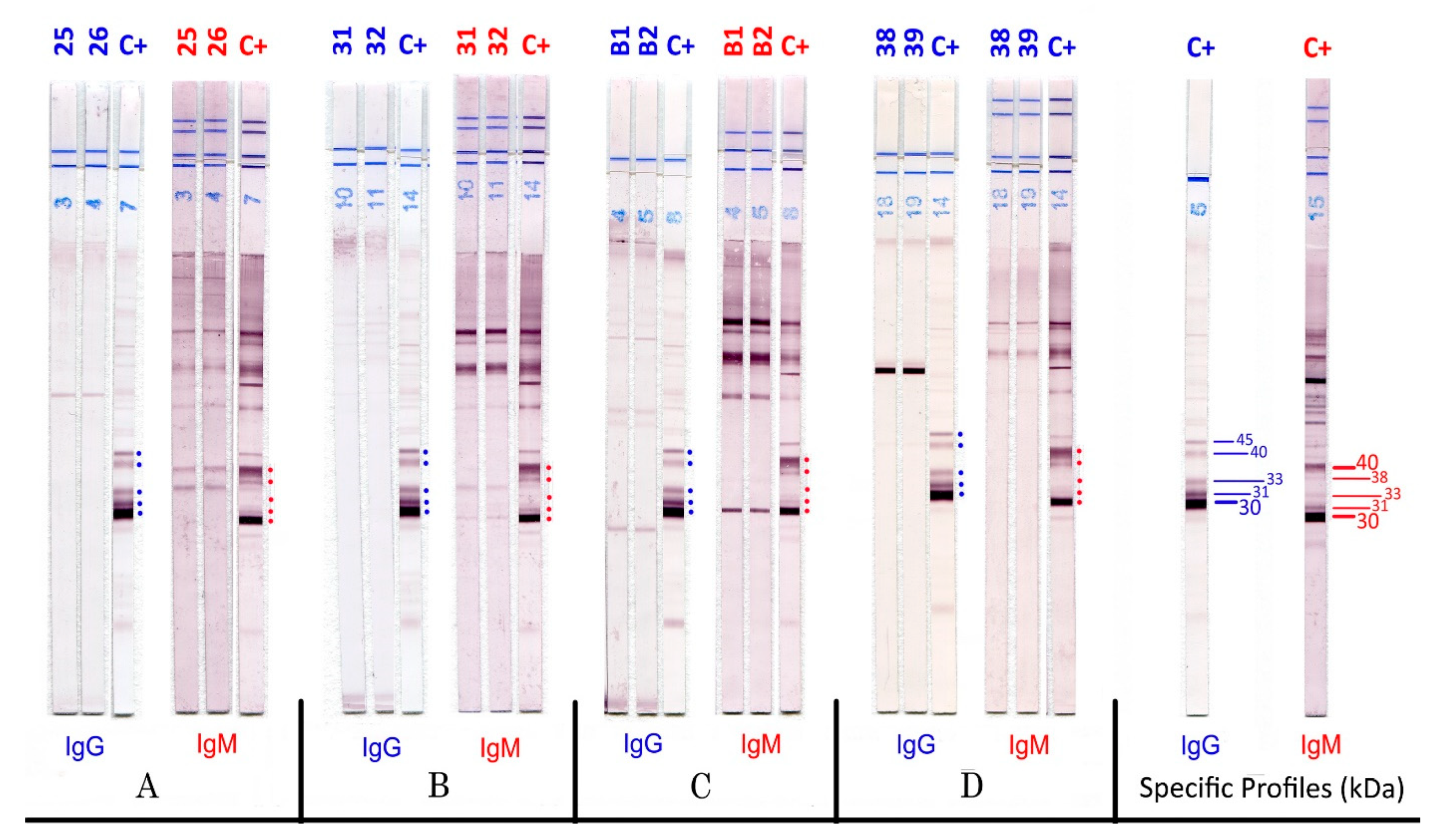 Pathogens 11 00665 g002