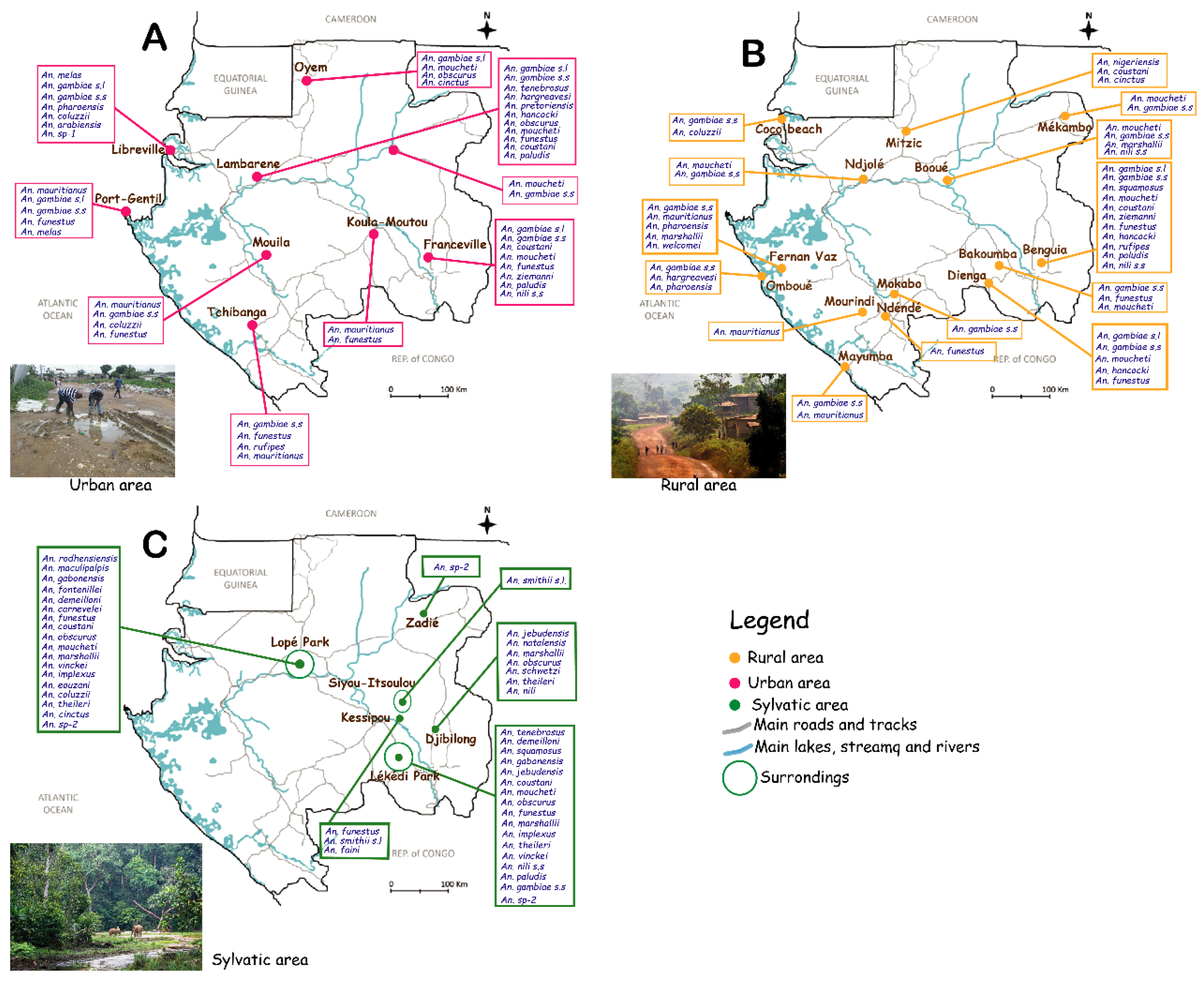 Pathogens 11 00668 g003 Pathogens 11 00668 g003