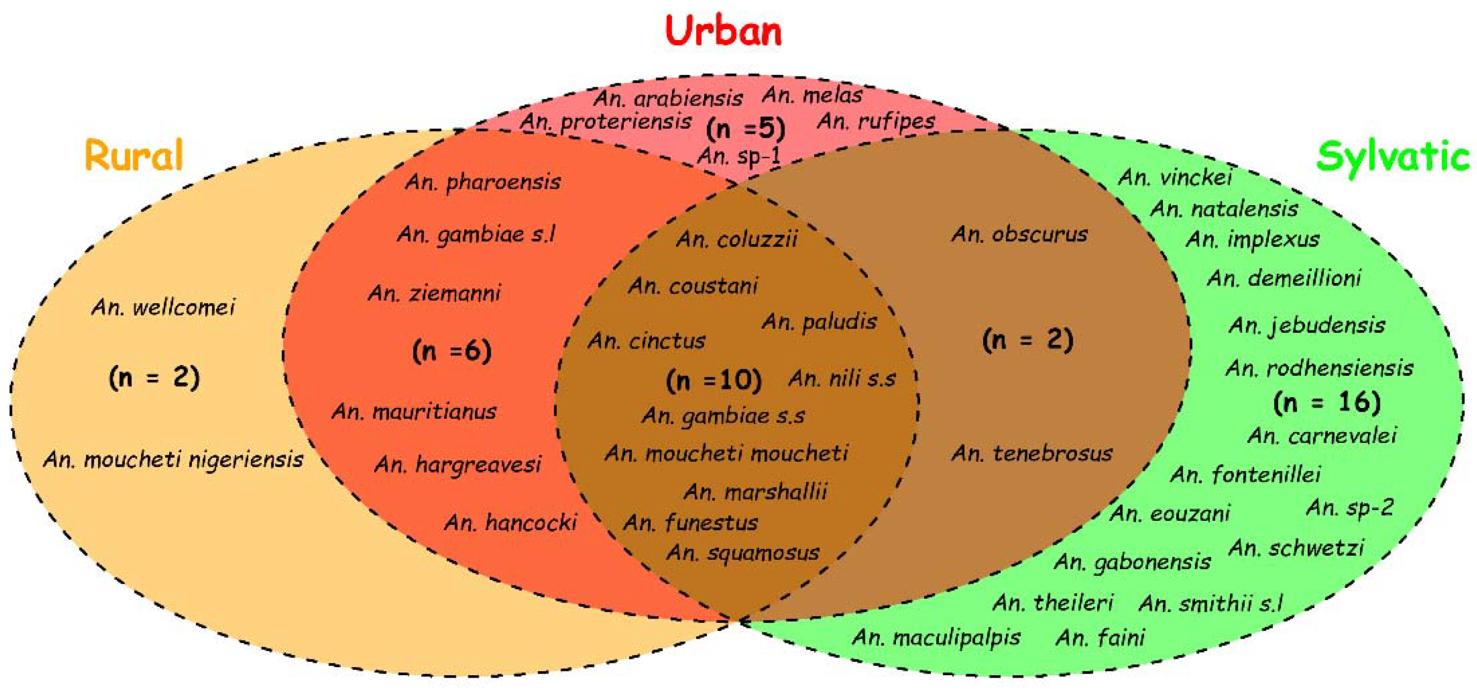 Pathogens 11 00668 g004 Pathogens 11 00668 g004