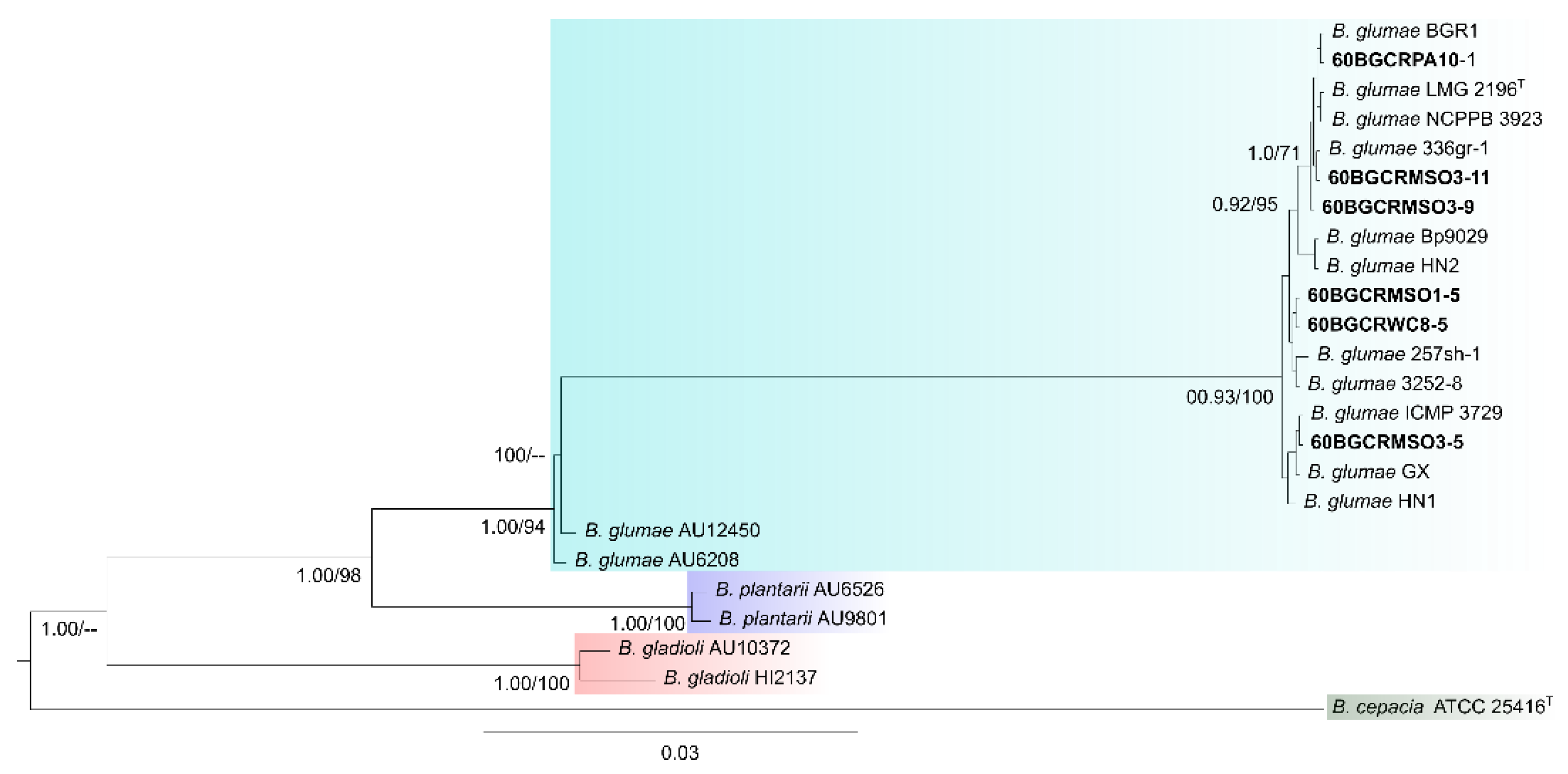 Pathogens 11 00676 g005 Pathogens 11 00676 g005
