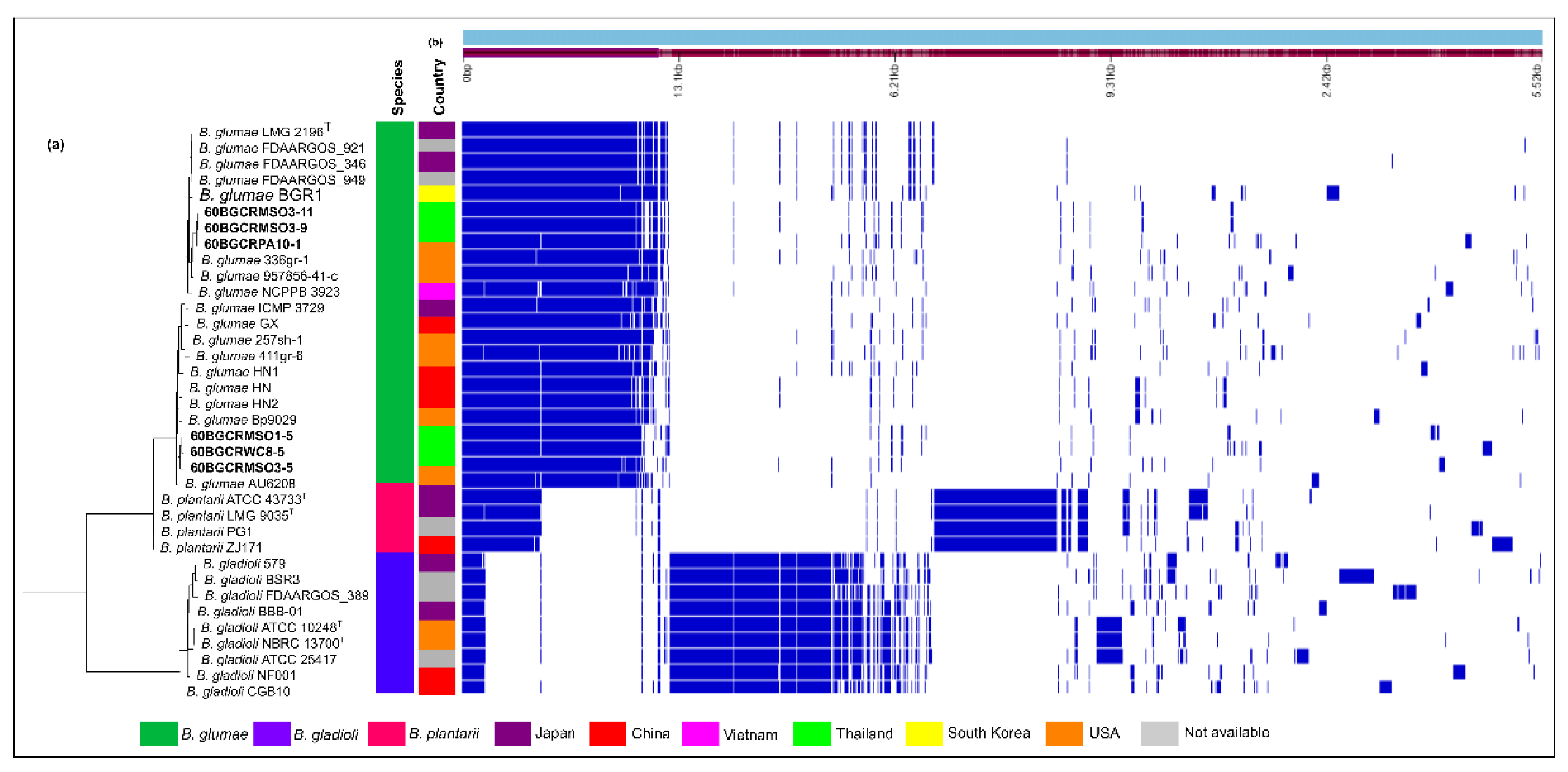 Pathogens 11 00676 g007 Pathogens 11 00676 g007