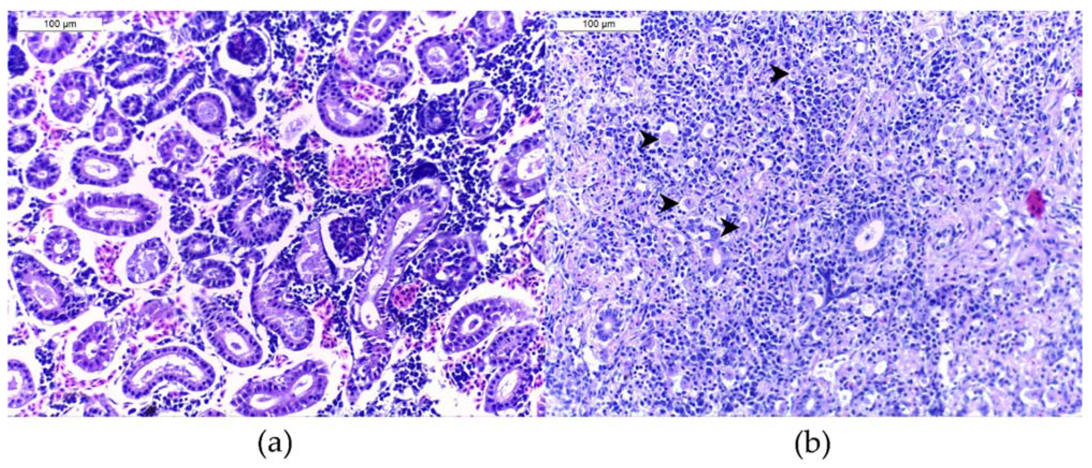 Pathogens 11 00681 g004 Pathogens 11 00681 g004